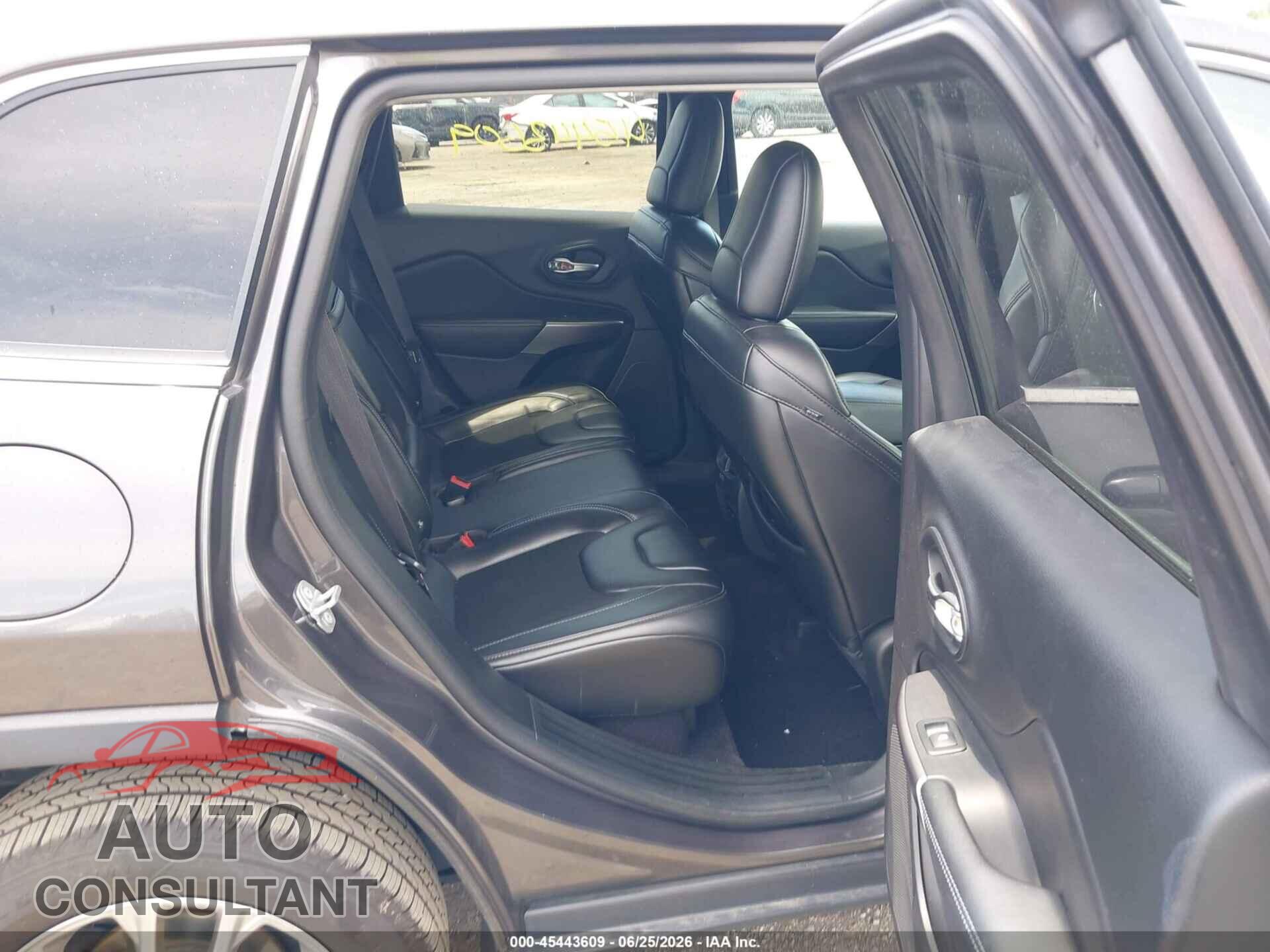 JEEP CHEROKEE 2019 - 1C4PJLLB1KD154402