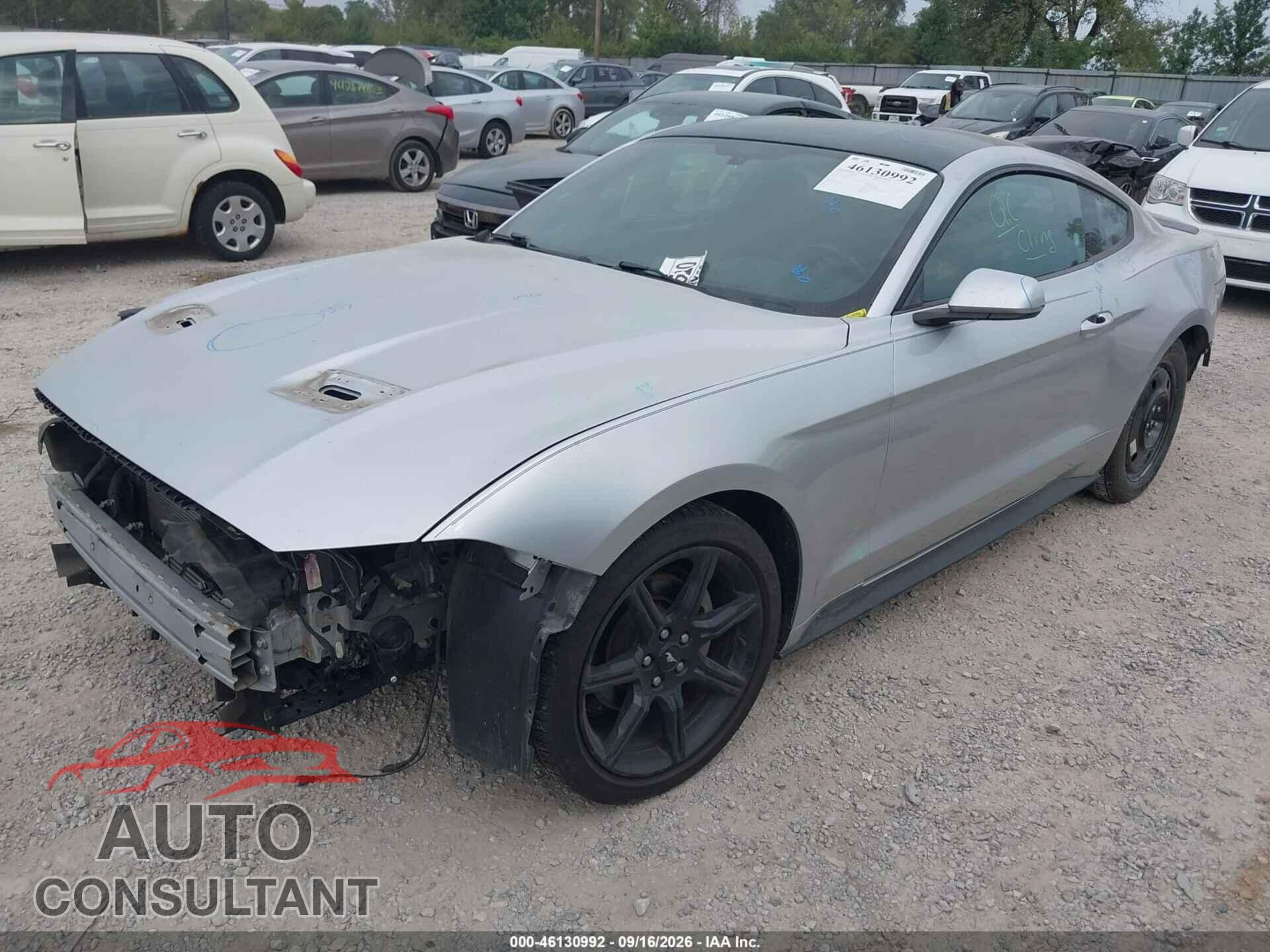 FORD MUSTANG 2019 - 1FA6P8TH5K5133175