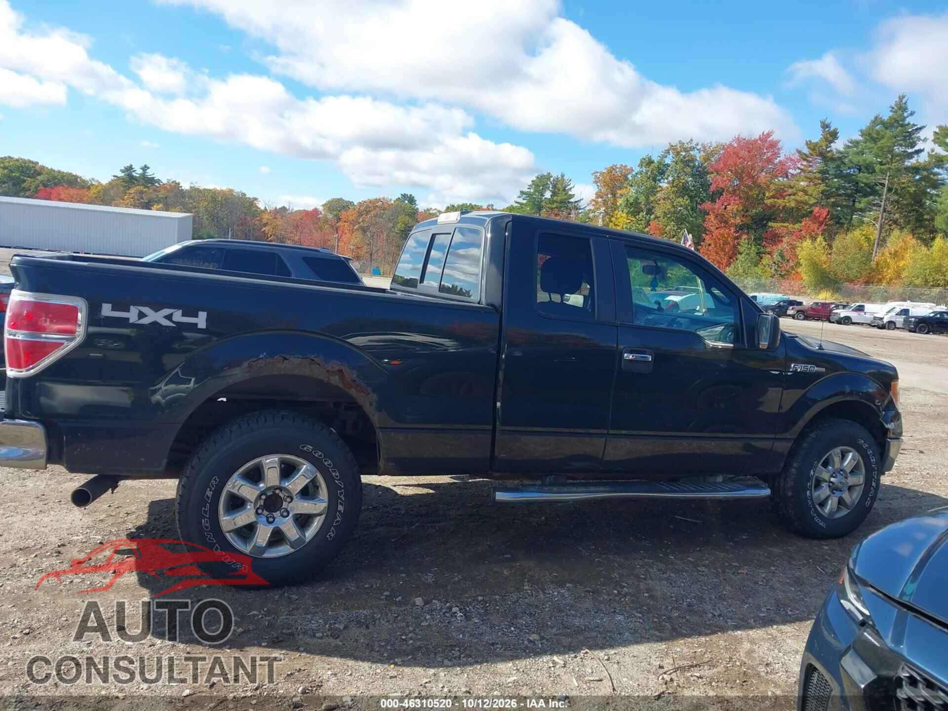 FORD F-150 2013 - 1FTFX1EF9DFC60733