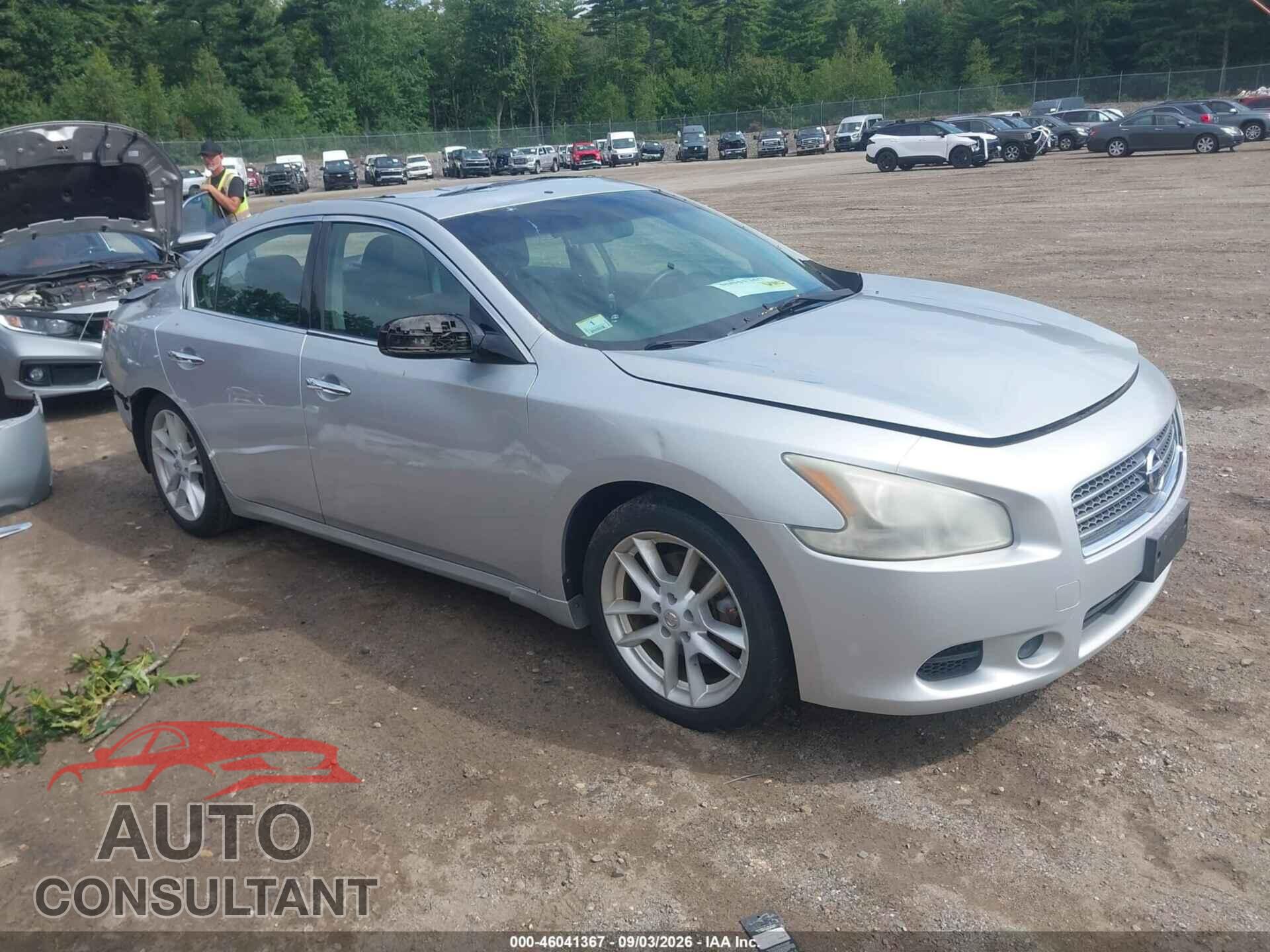 NISSAN MAXIMA 2009 - 1N4AA51E89C843809