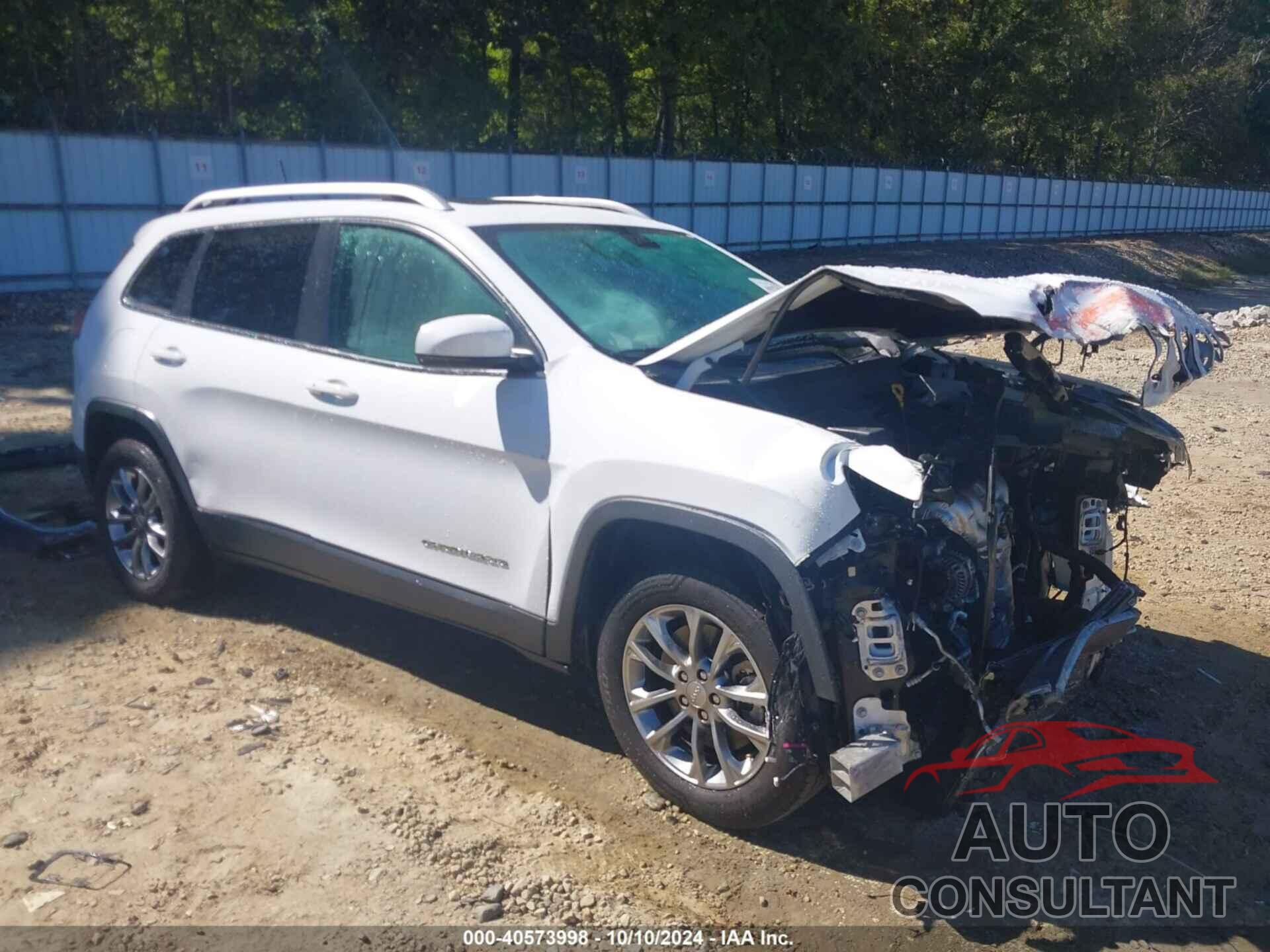 JEEP CHEROKEE 2019 - 1C4PJLLB2KD344855