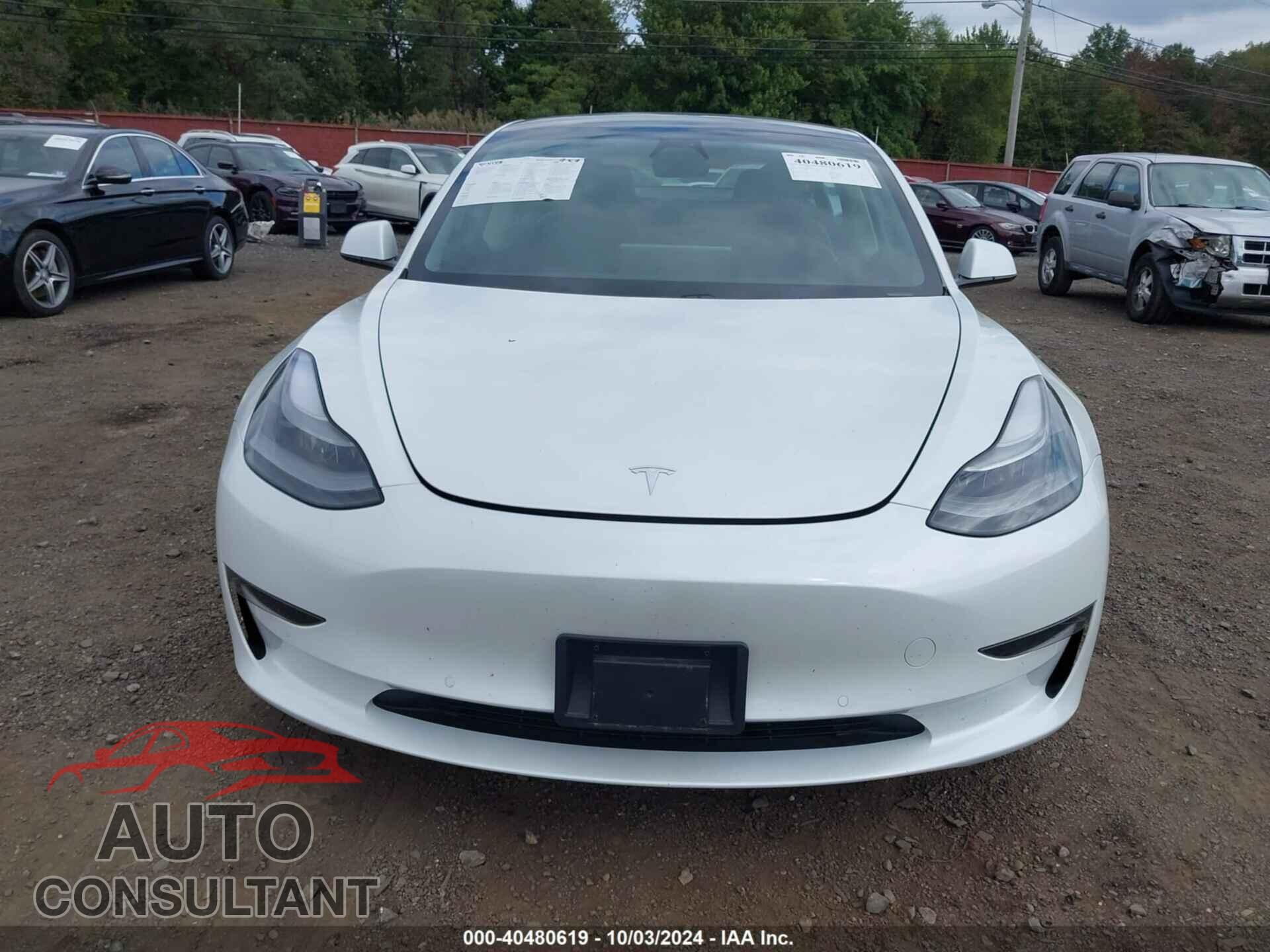 TESLA MODEL 3 2021 - 5YJ3E1EA7MF085190