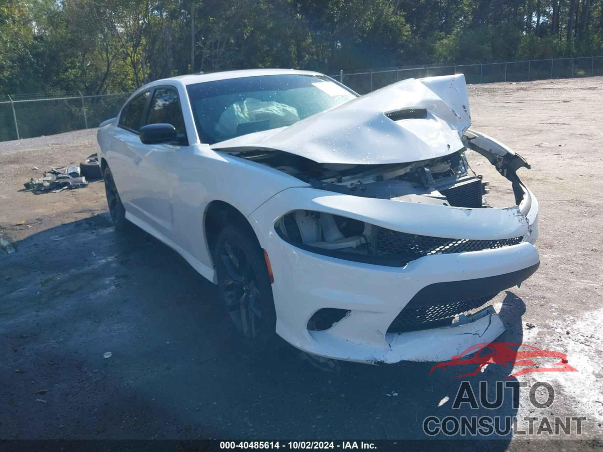 DODGE CHARGER 2021 - 2C3CDXHG9MH625708