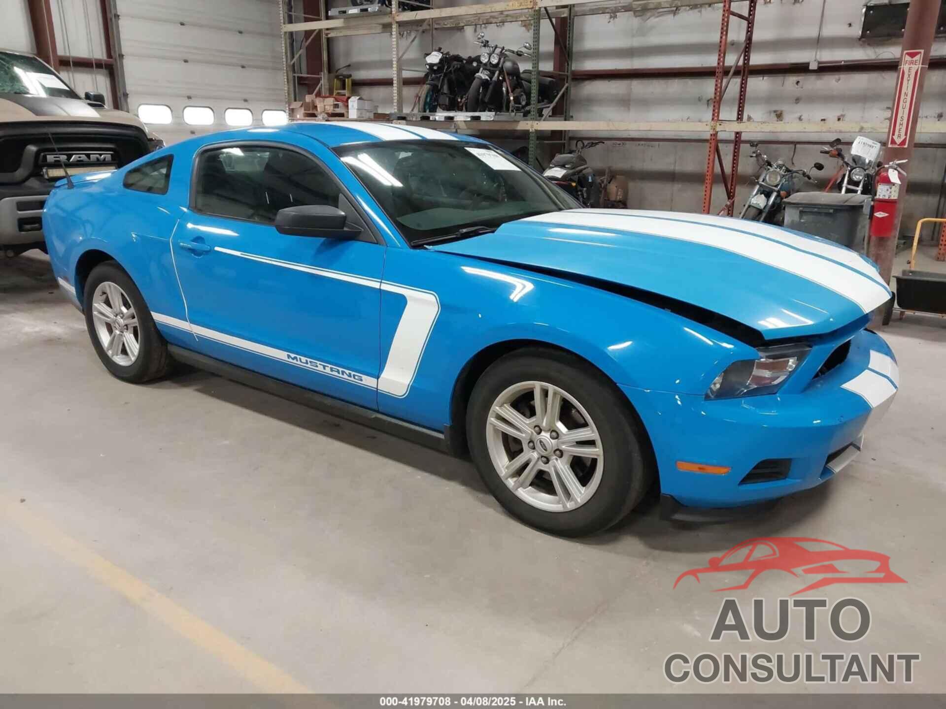 FORD MUSTANG 2011 - 1ZVBP8AM3B5116946