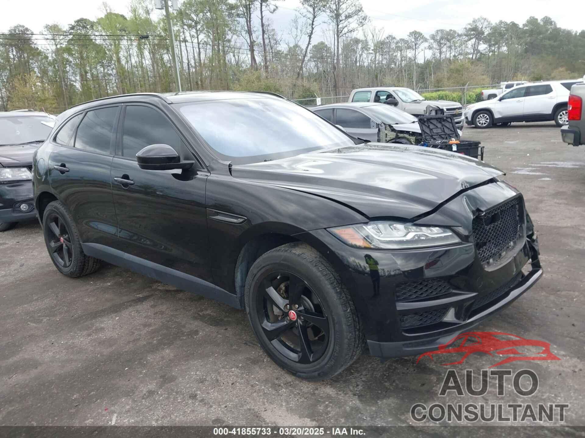 JAGUAR F-PACE 2019 - SADCK2FX7KA395593