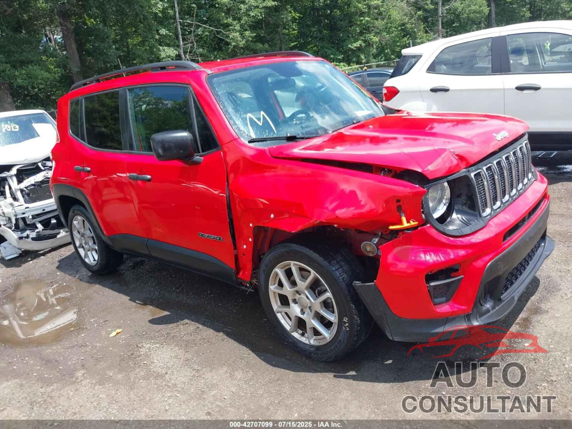 JEEP RENEGADE 2020 - ZACNJAAB2LPL85873
