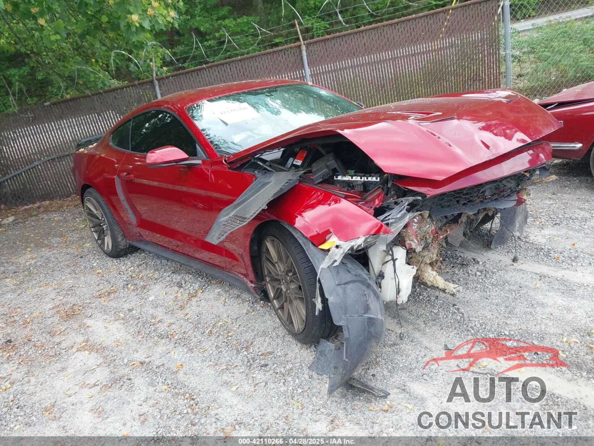 FORD MUSTANG 2019 - 1FA6P8TH6K5106342
