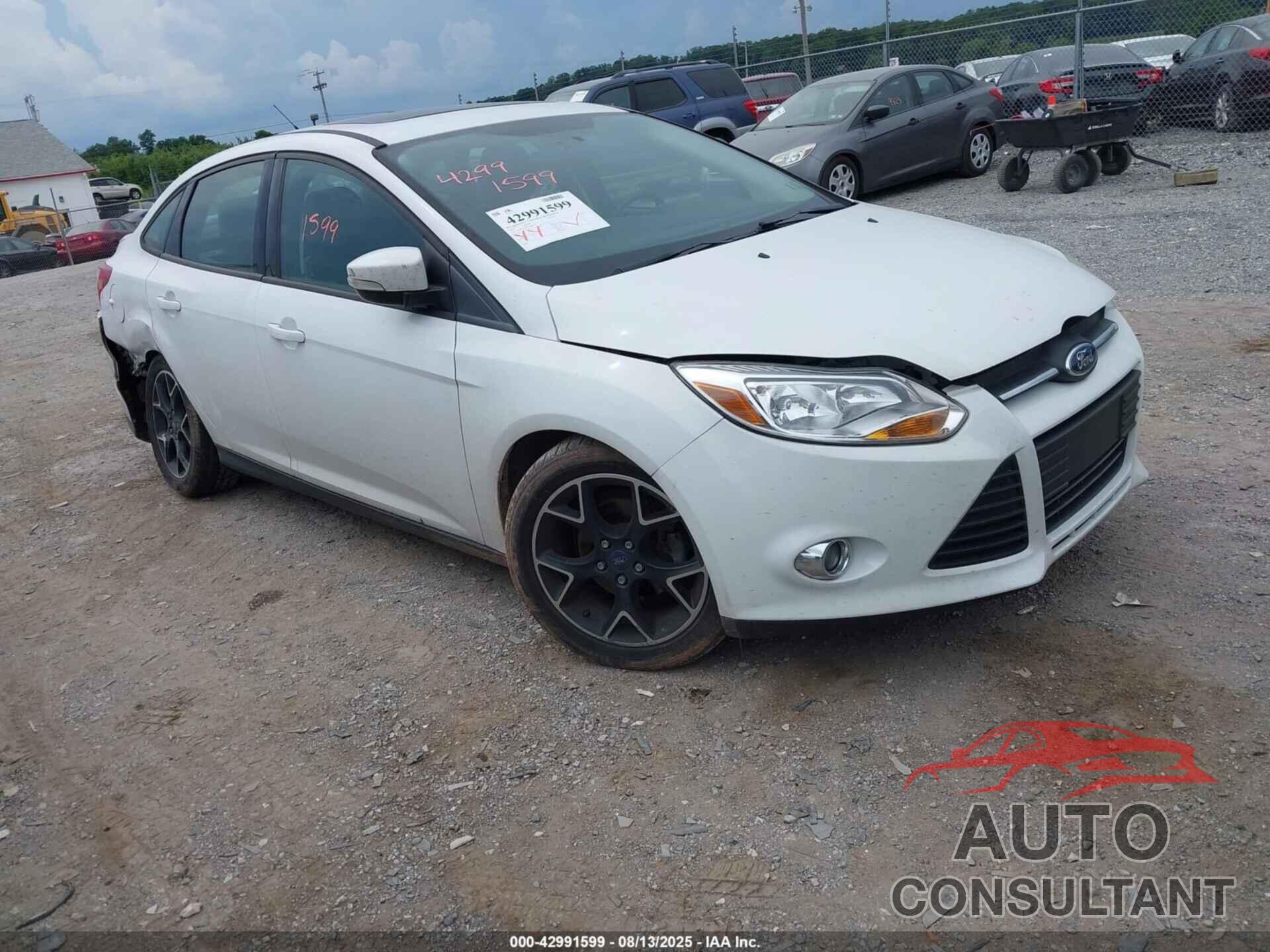 FORD FOCUS 2013 - 1FADP3F24DL166619