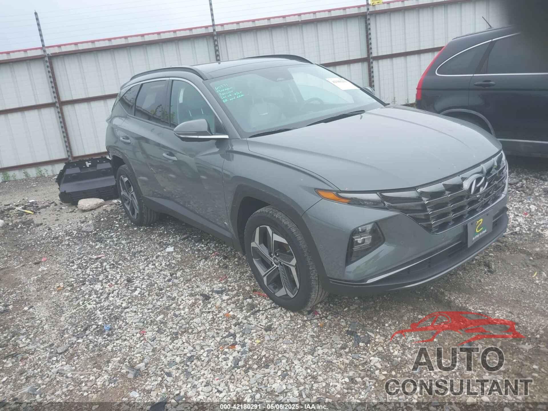HYUNDAI TUCSON 2024 - 5NMJECDE2RH347579