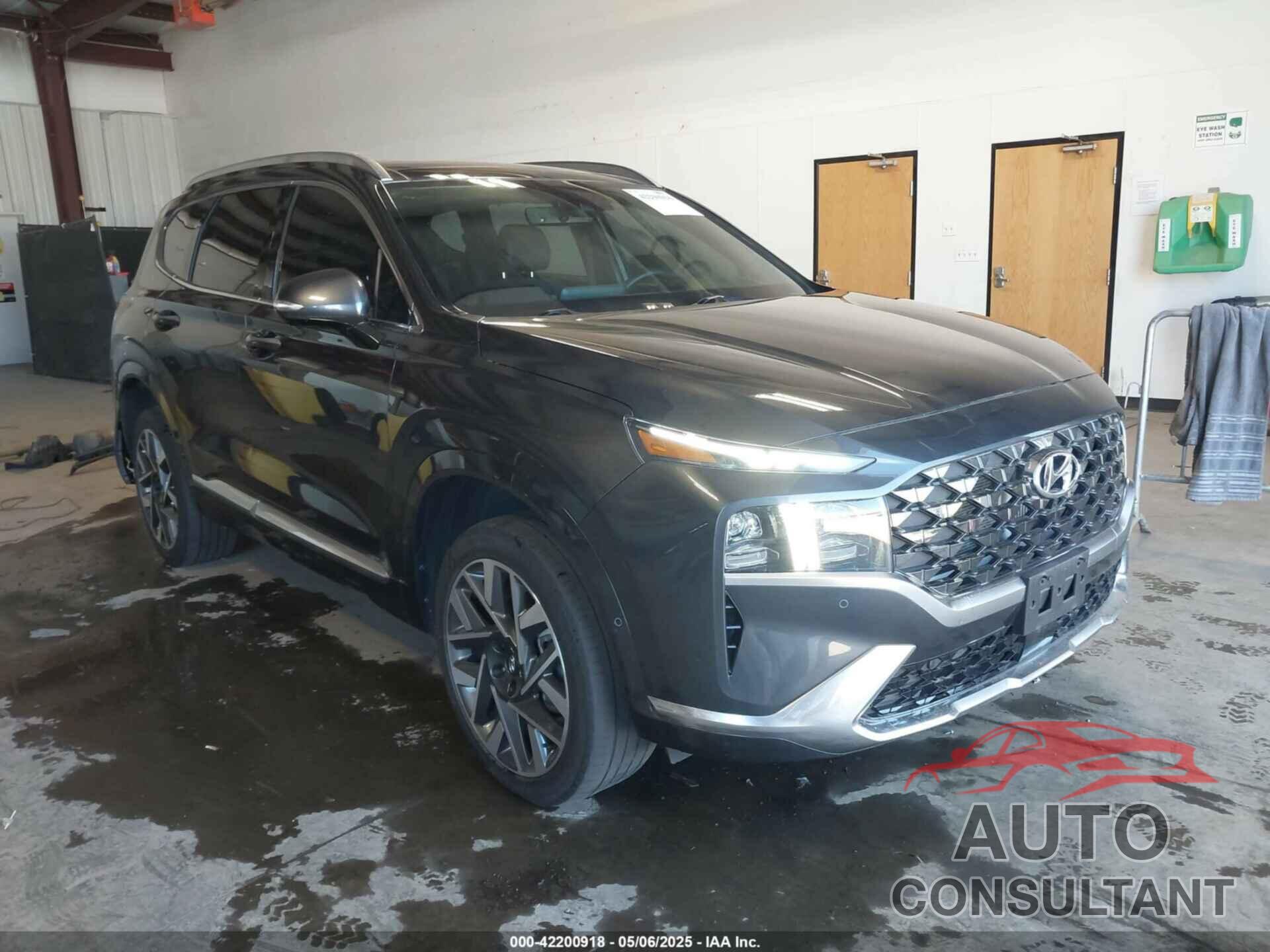 HYUNDAI SANTA FE 2023 - 5NMS5DAL4PH592300