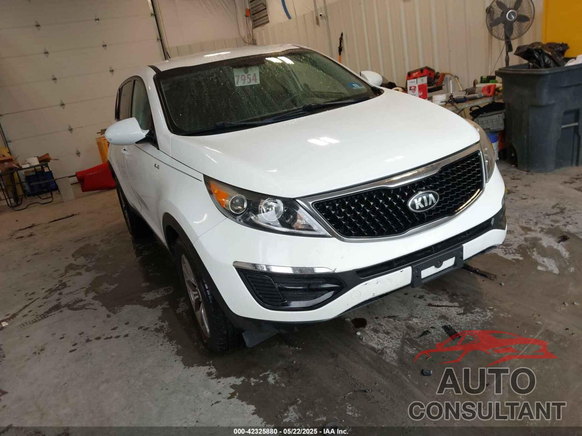 KIA SPORTAGE 2016 - KNDPBCAC2G7862172