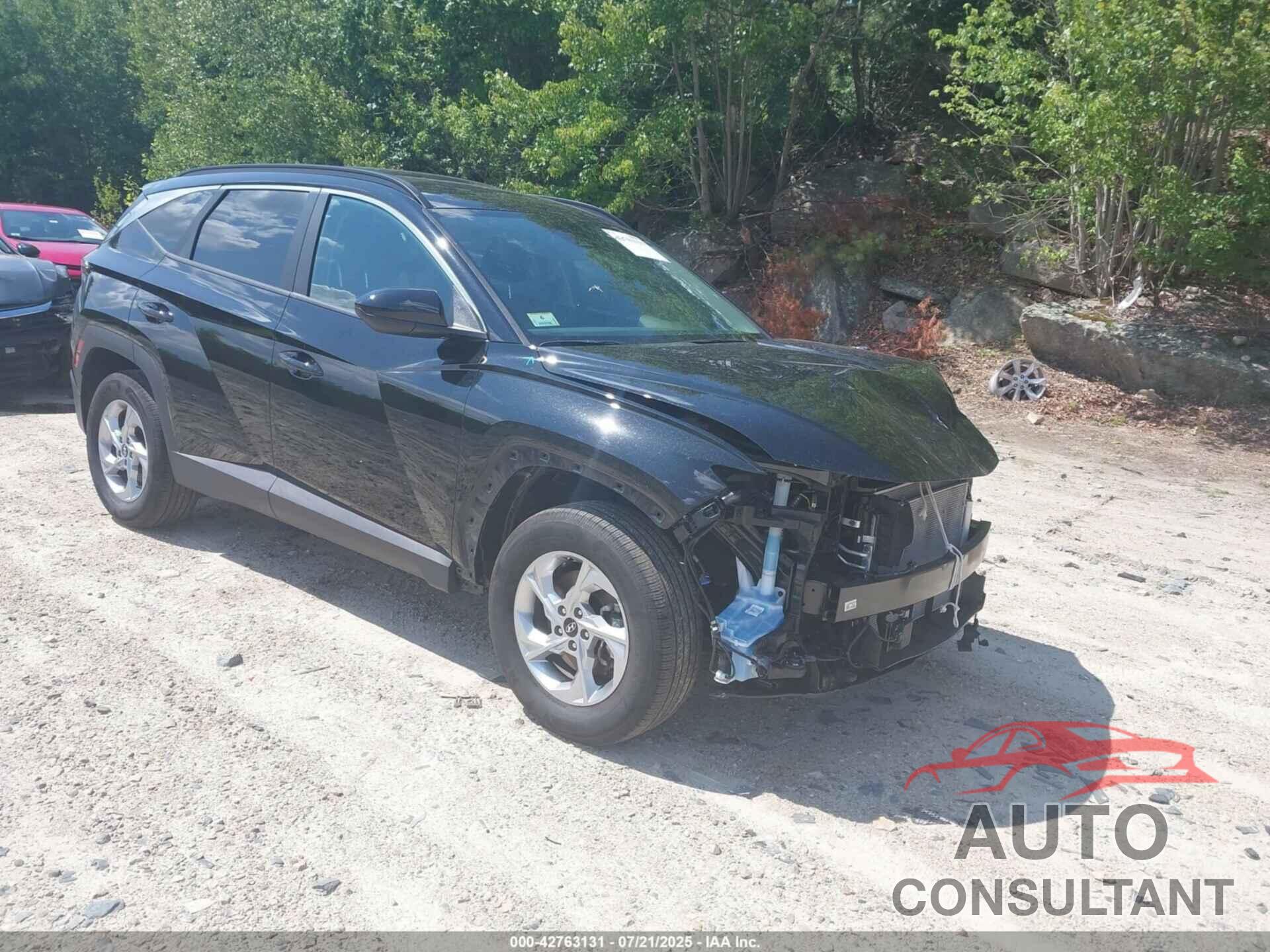 HYUNDAI TUCSON 2024 - 5NMJBCDEXRH375980