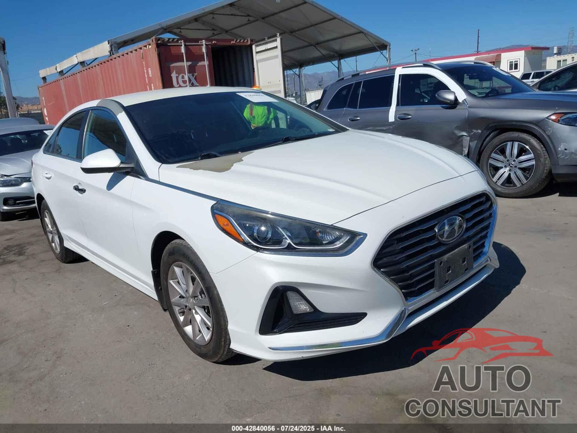 HYUNDAI SONATA 2019 - 5NPE24AF9KH797705