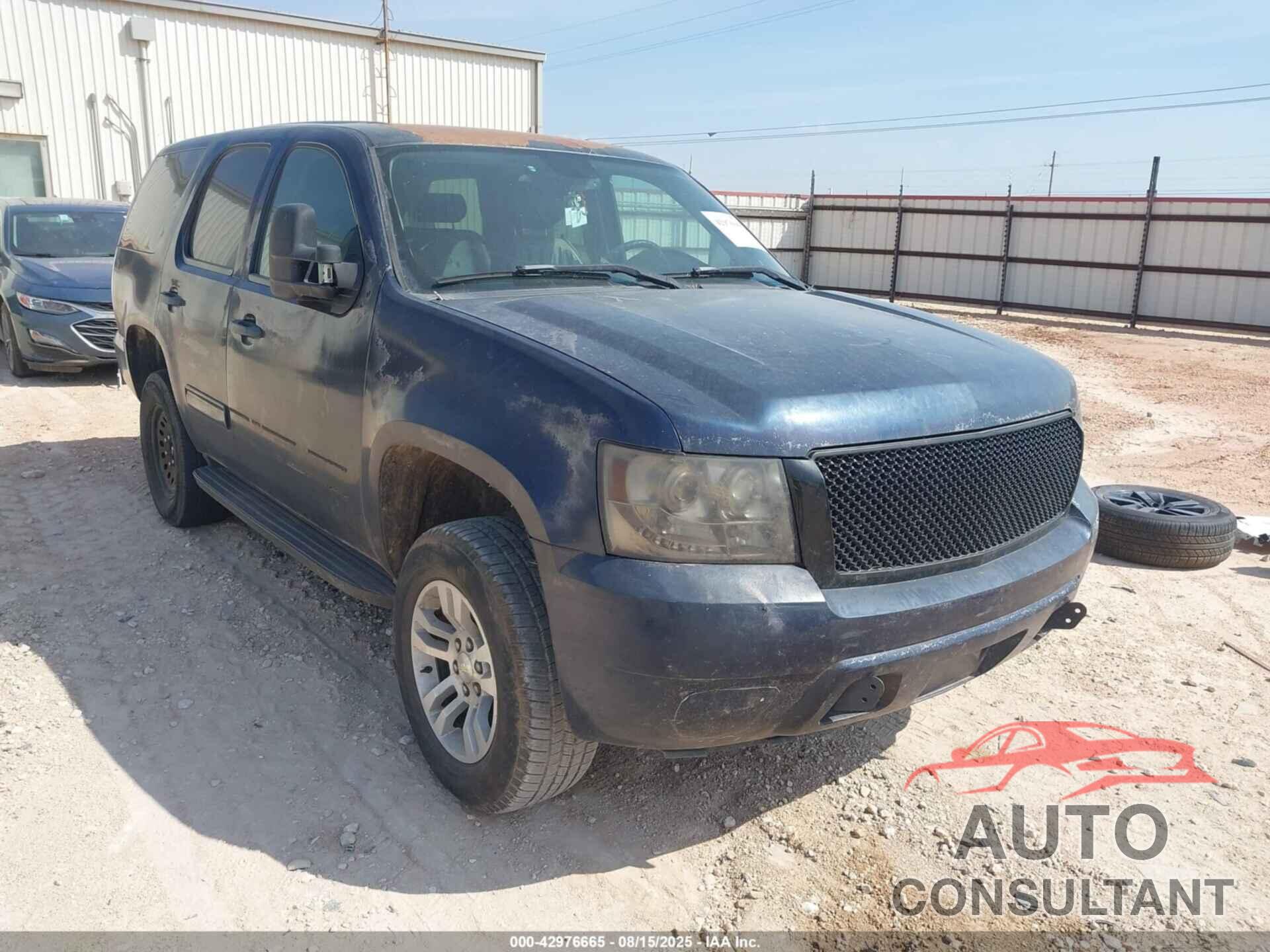 CHEVROLET TAHOE 2009 - 1GNEC03089R265922
