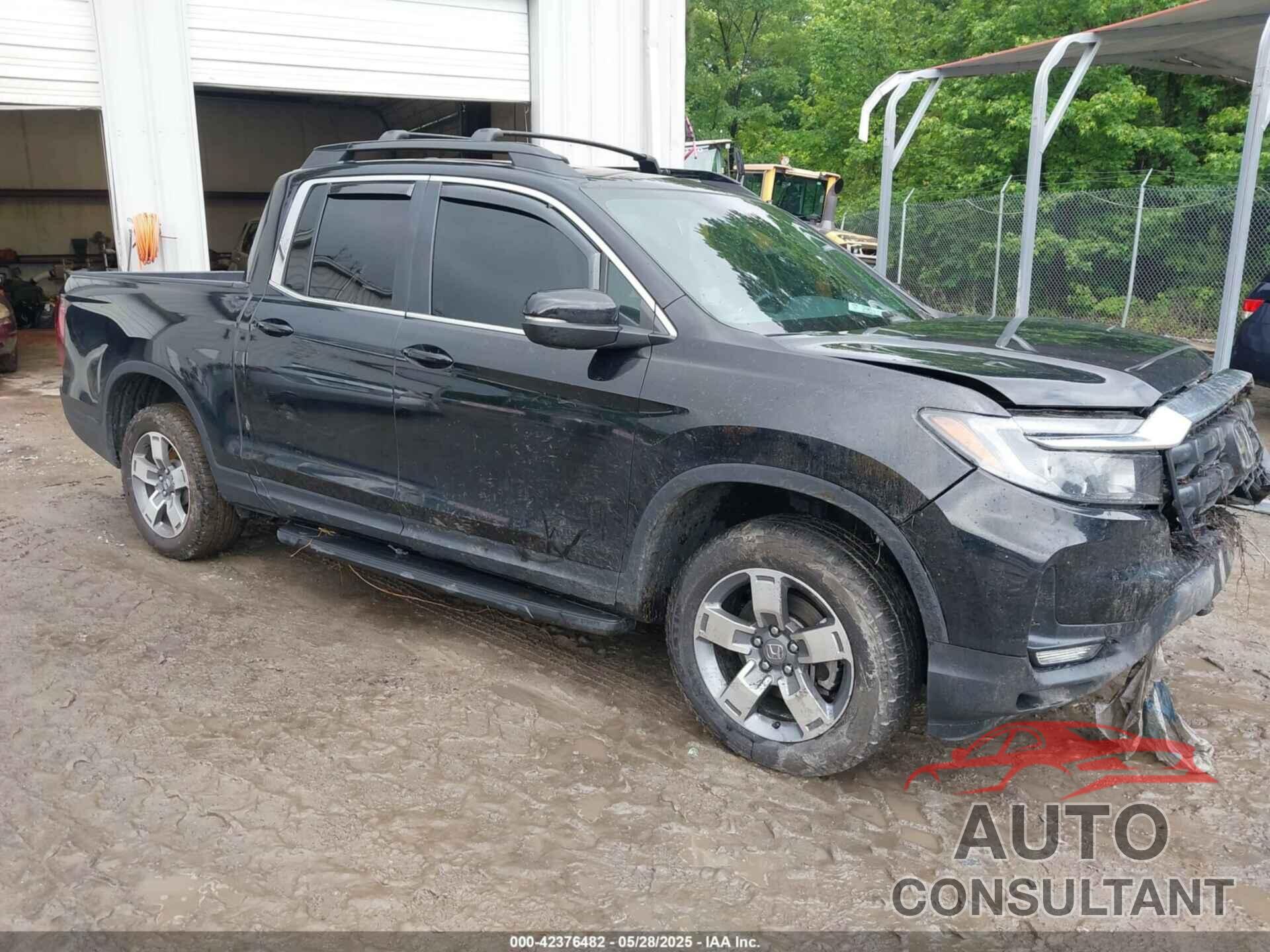 HONDA RIDGELINE 2024 - 5FPYK3F50RB022006