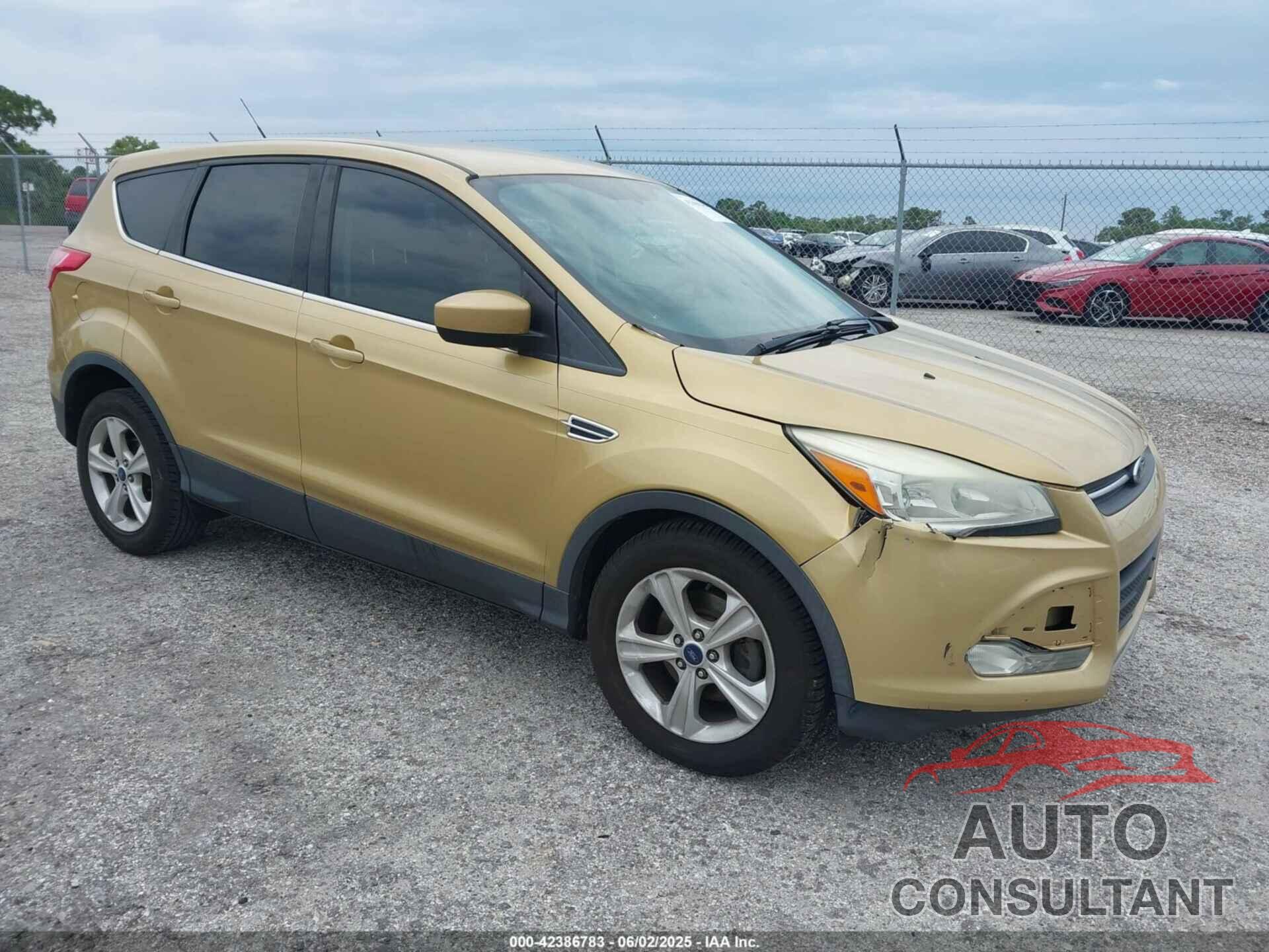 FORD ESCAPE 2014 - 1FMCU0GX2EUD29508