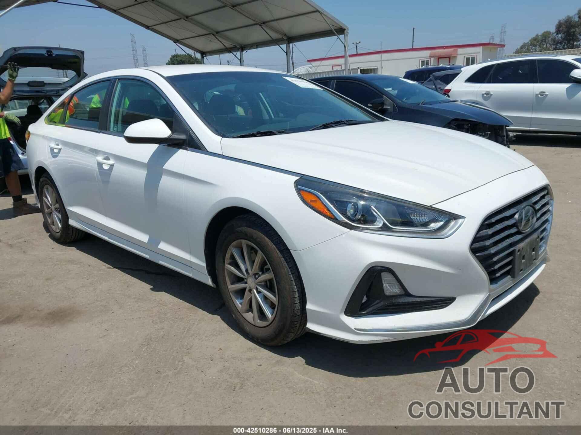 HYUNDAI SONATA 2019 - 5NPE24AF6KH770543