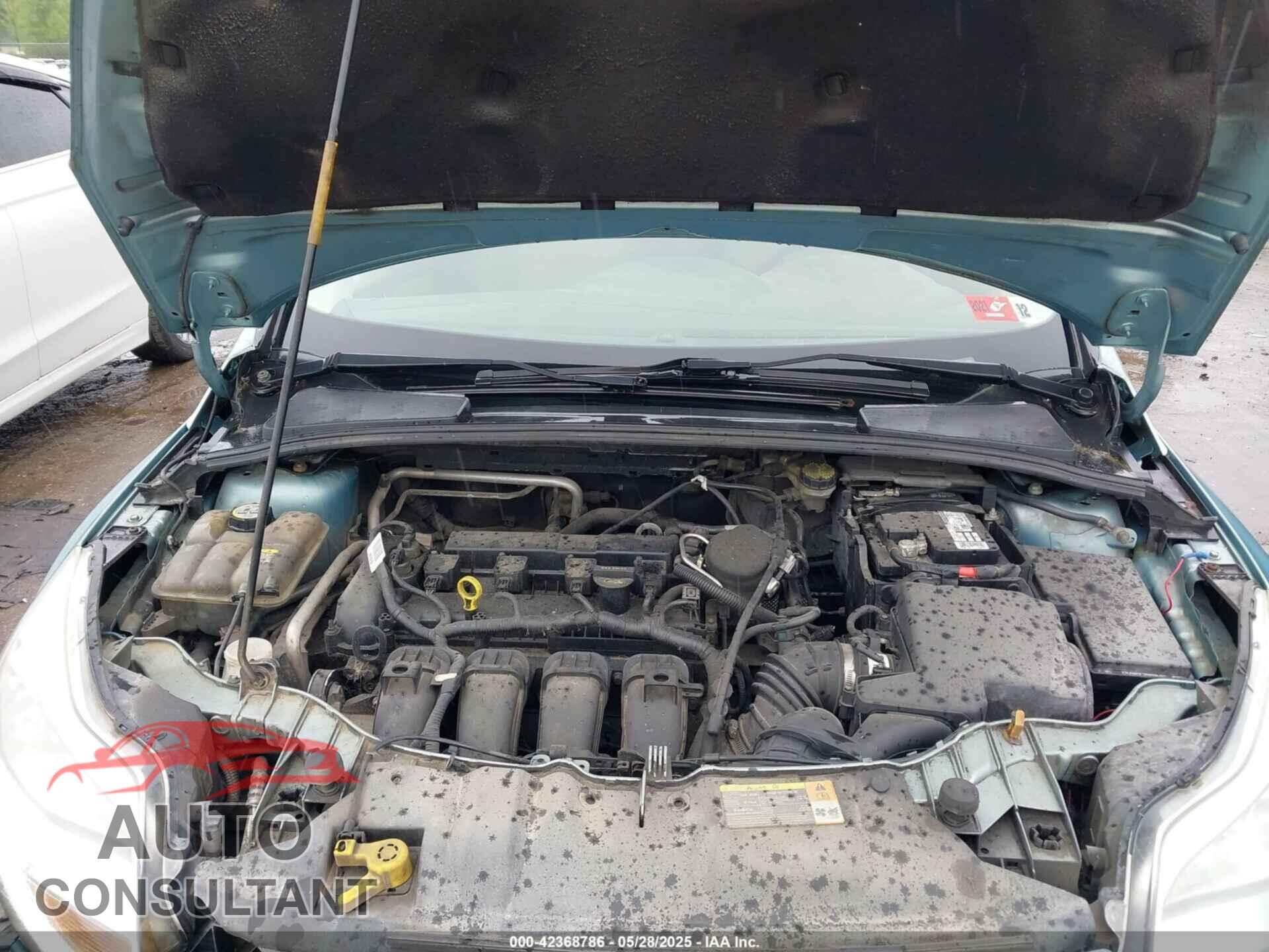 FORD FOCUS 2012 - 1FAHP3F21CL226033