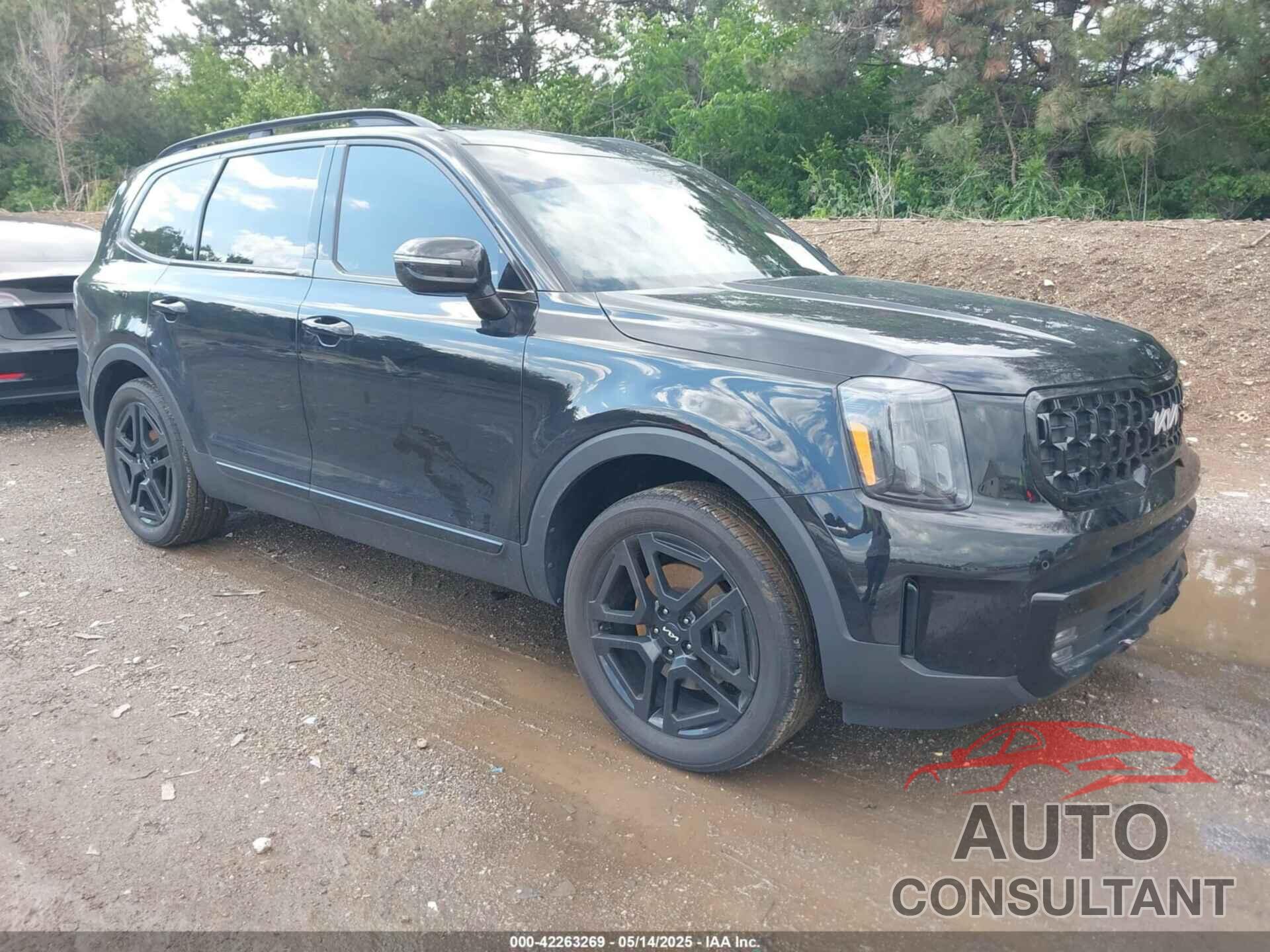 KIA TELLURIDE 2024 - 5XYP5DGC7RG409708