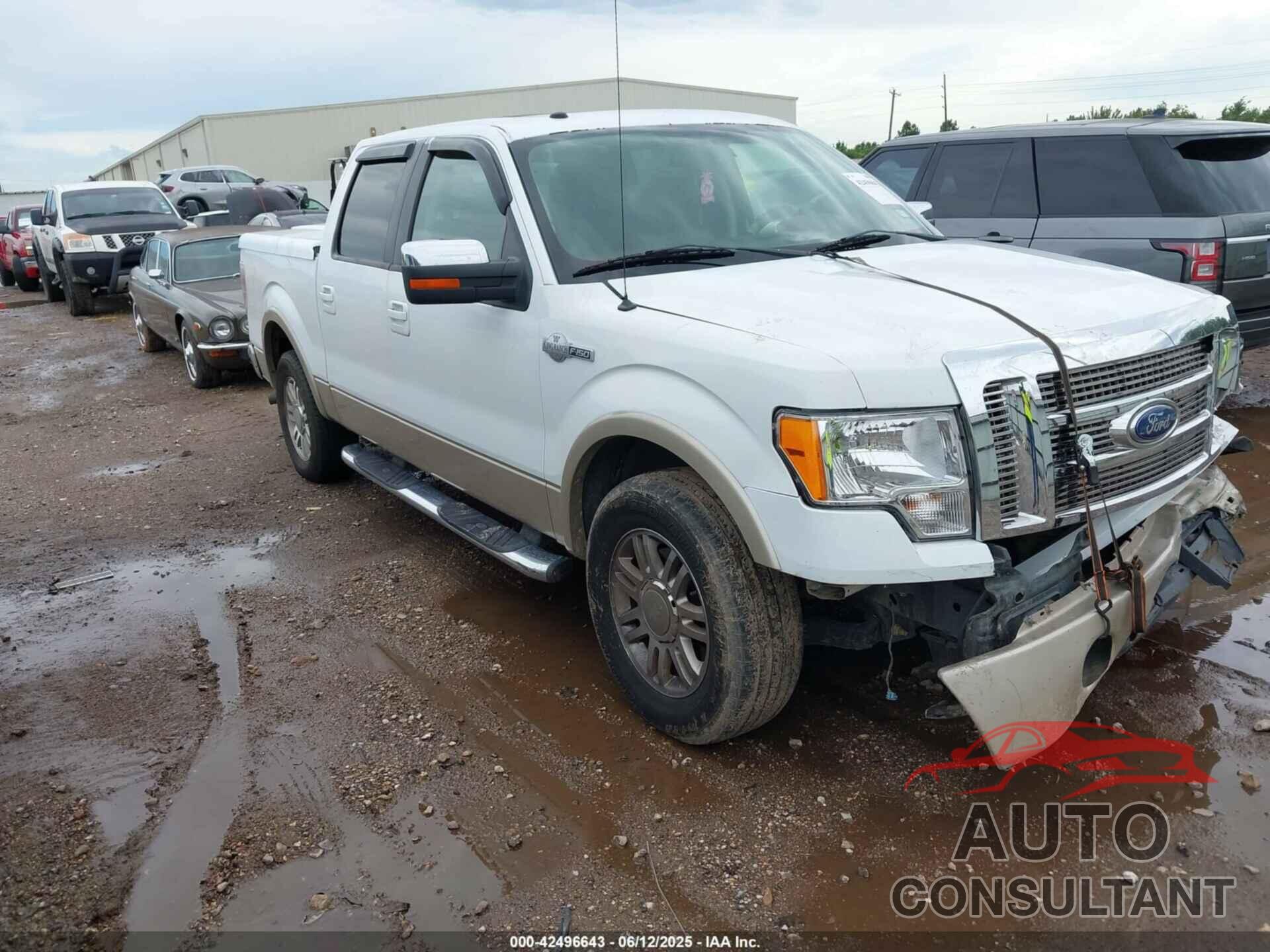 FORD F-150 2010 - 1FTFW1CV3AKB04283