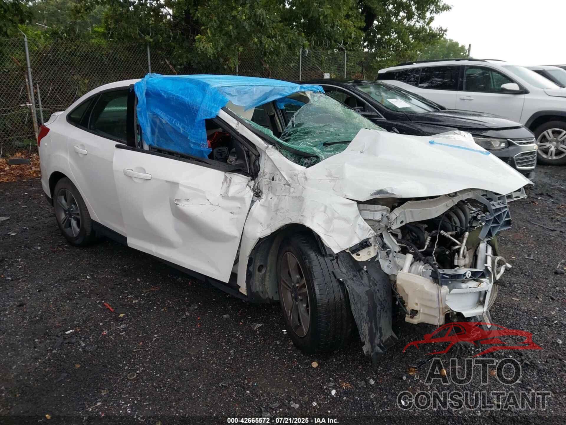 FORD FOCUS 2014 - 1FADP3F25EL203131