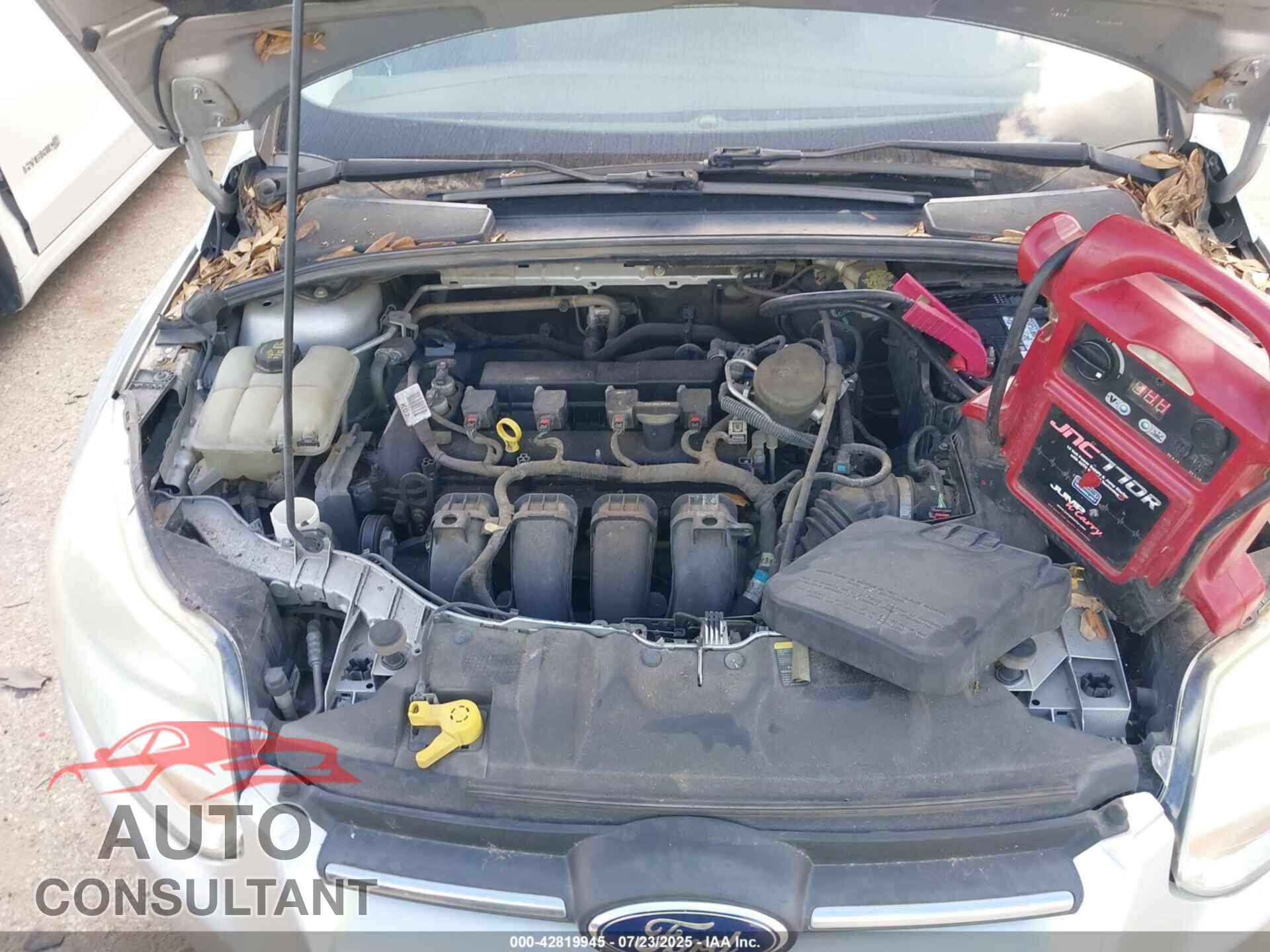 FORD FOCUS 2014 - 1FADP3F22EL109546