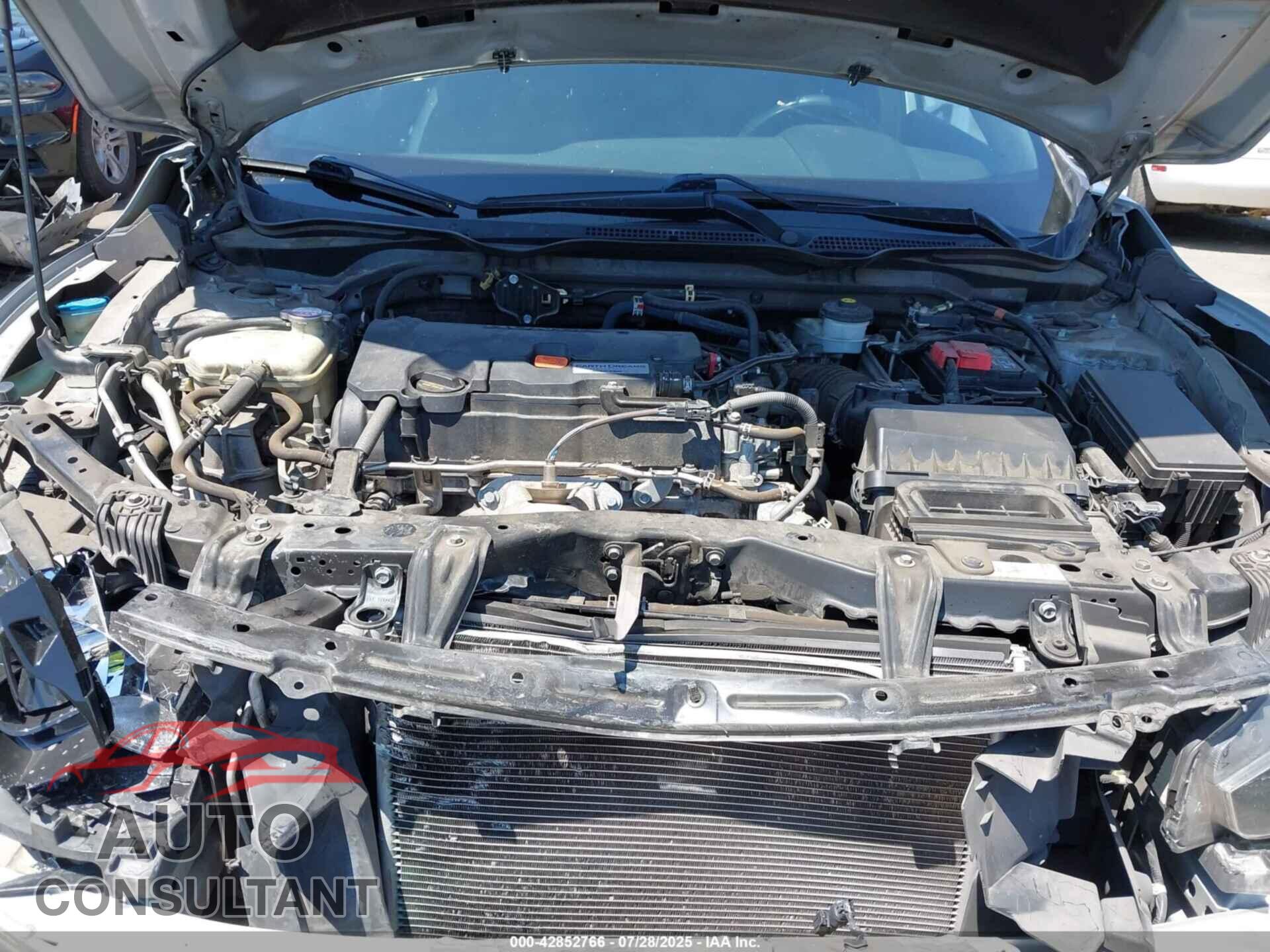 HONDA CIVIC 2019 - 2HGFC2F86KH518933
