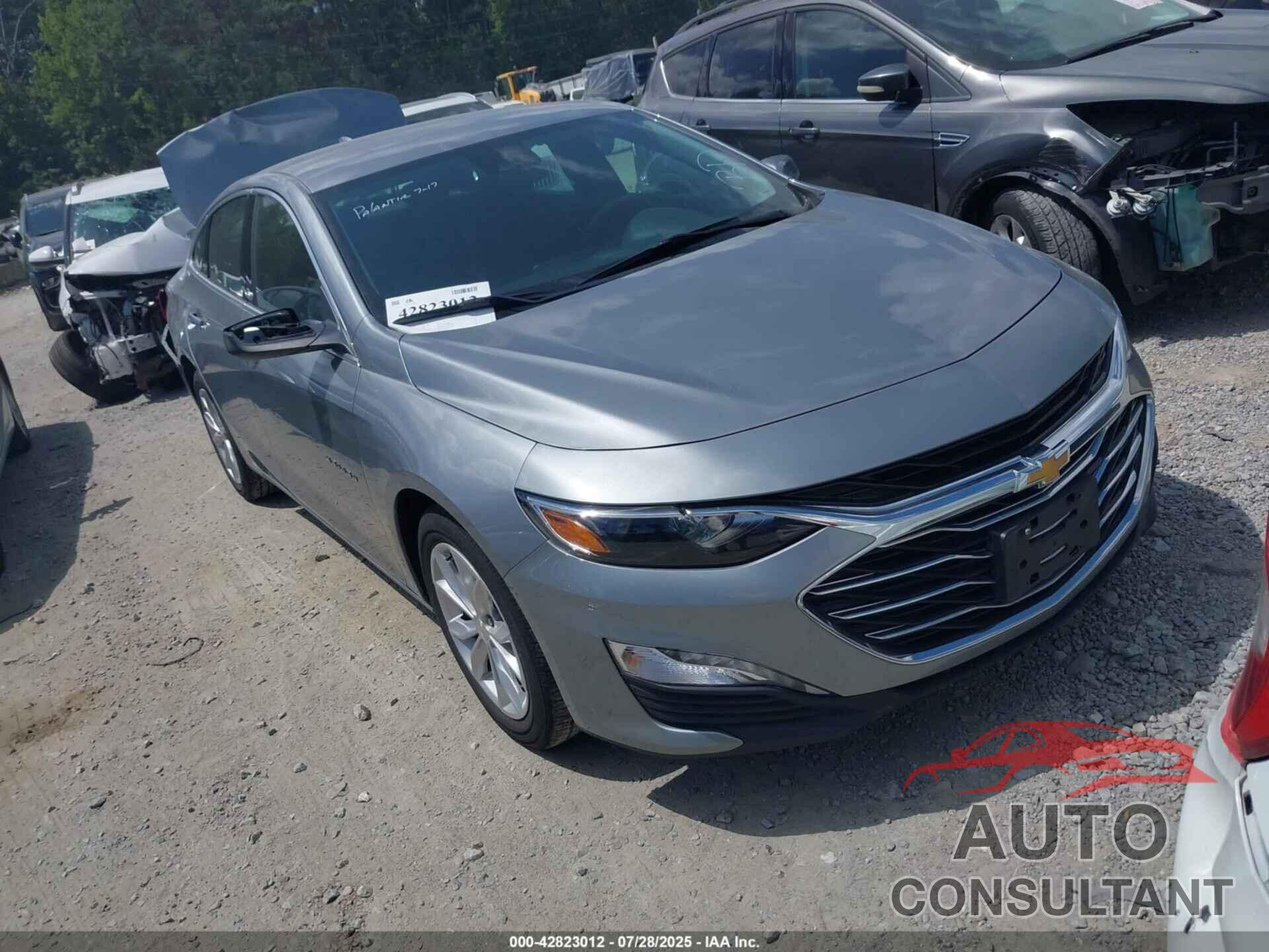 CHEVROLET MALIBU 2024 - 1G1ZD5STXRF173690