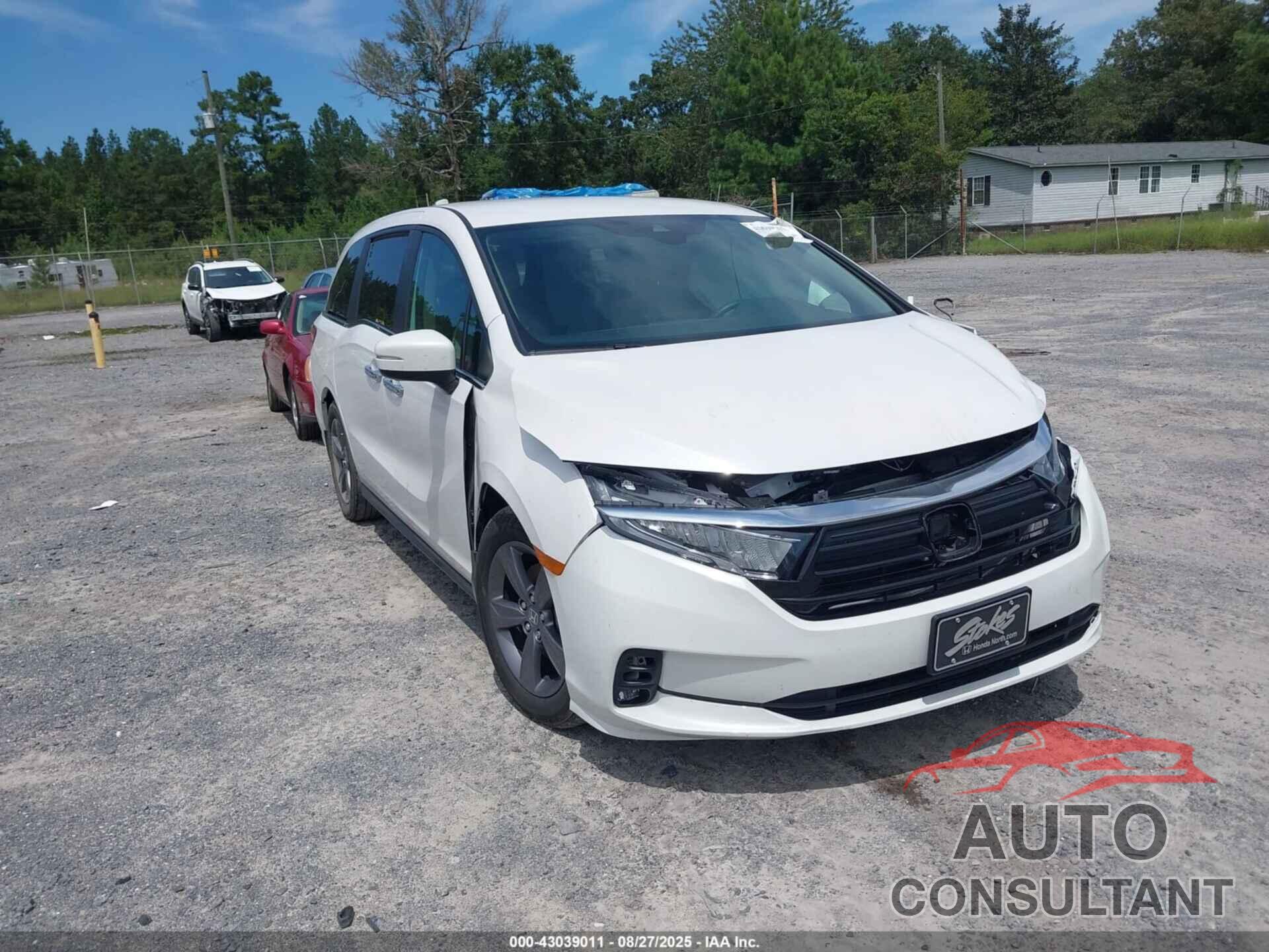HONDA ODYSSEY 2024 - 5FNRL6H57RB072071