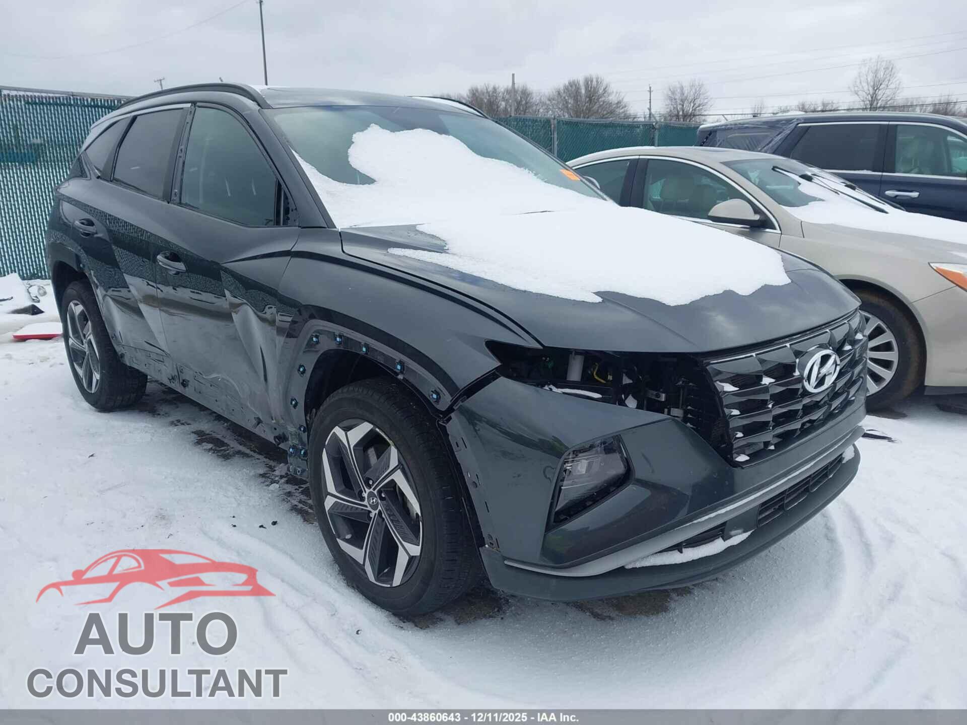 HYUNDAI TUCSON 2024 - 5NMJFCDEXRH342062