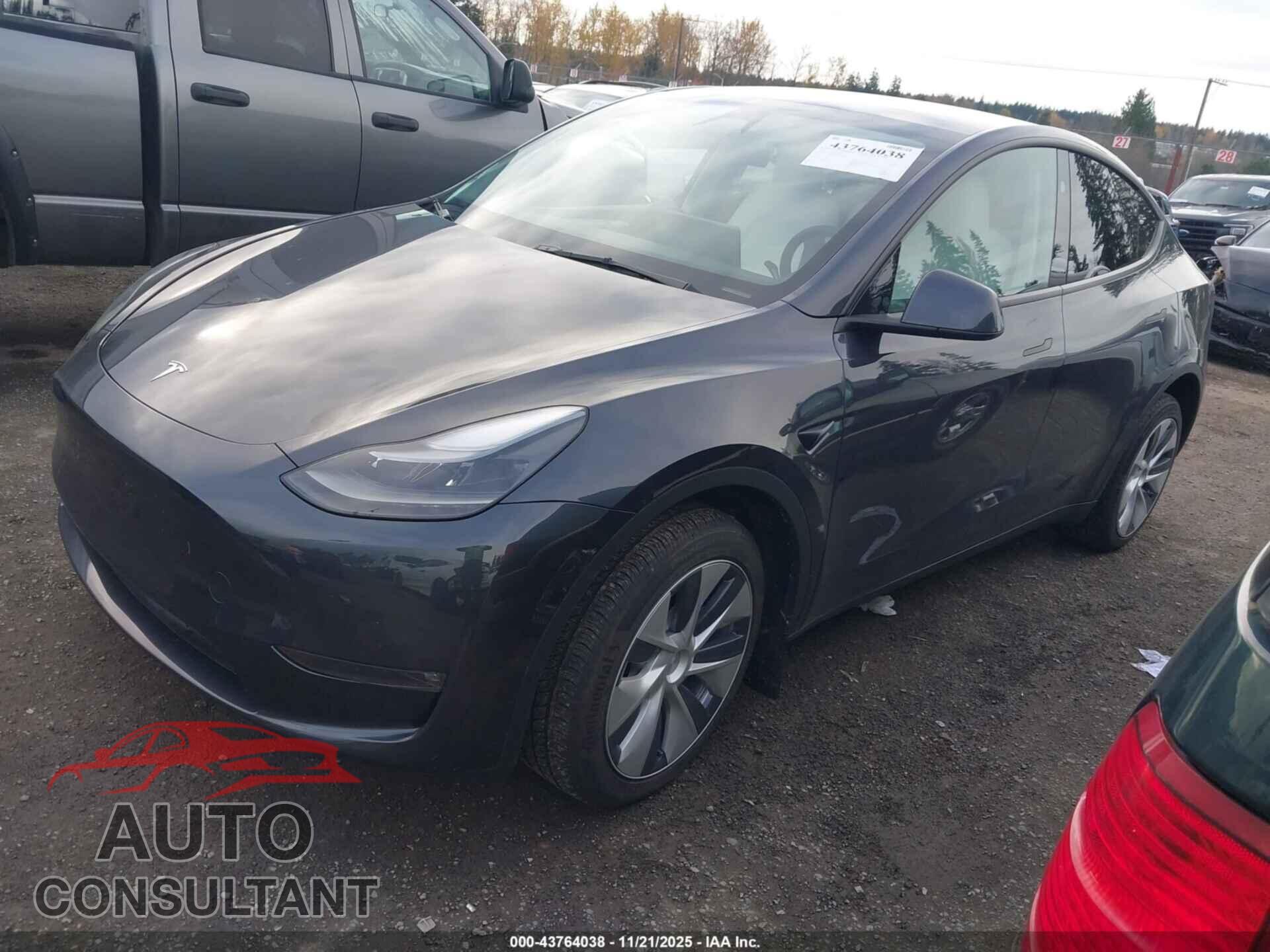 TESLA MODEL Y 2024 - 7SAYGDEE4RF065655