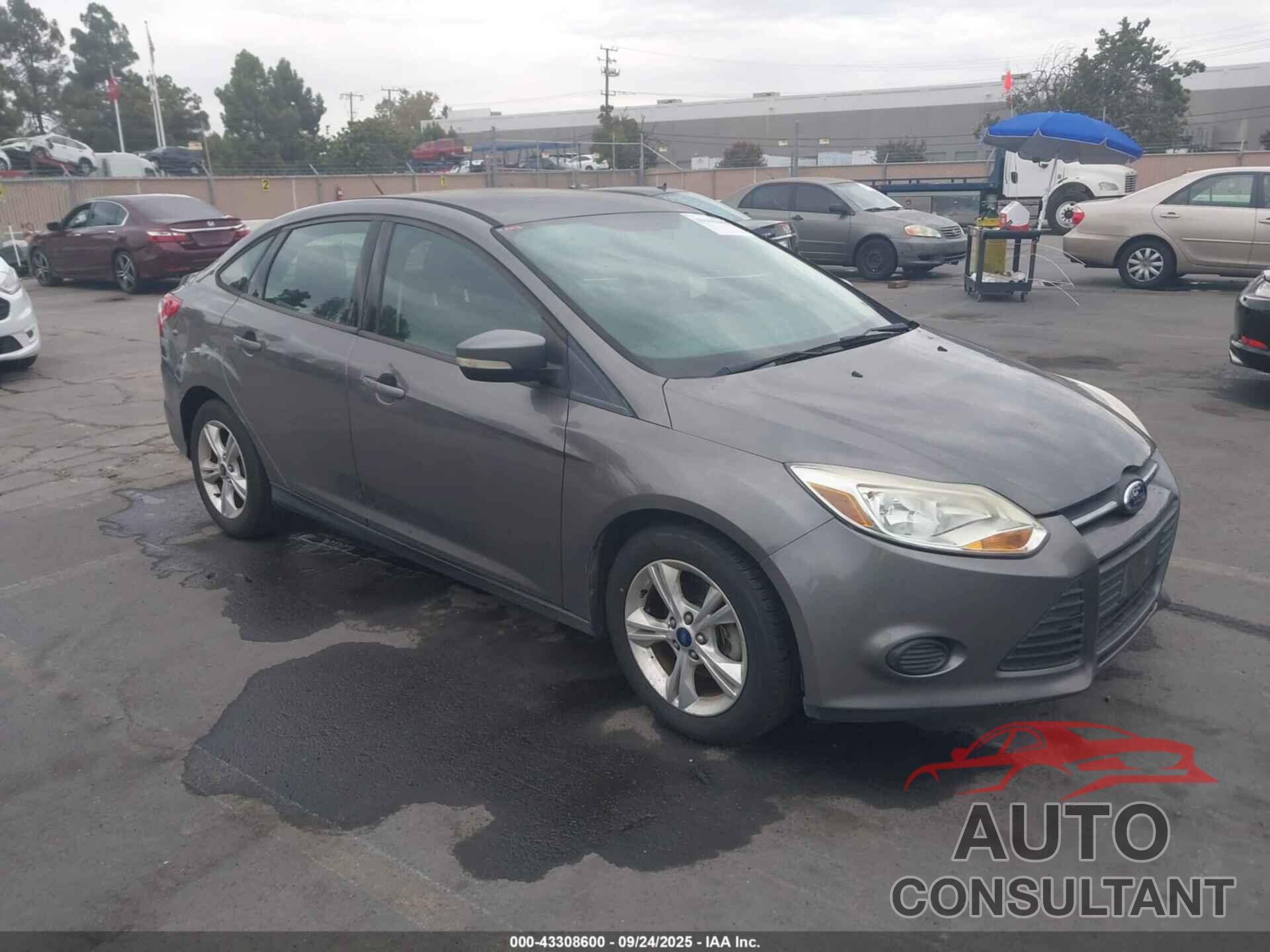 FORD FOCUS 2013 - 1FADP3F29DL264769