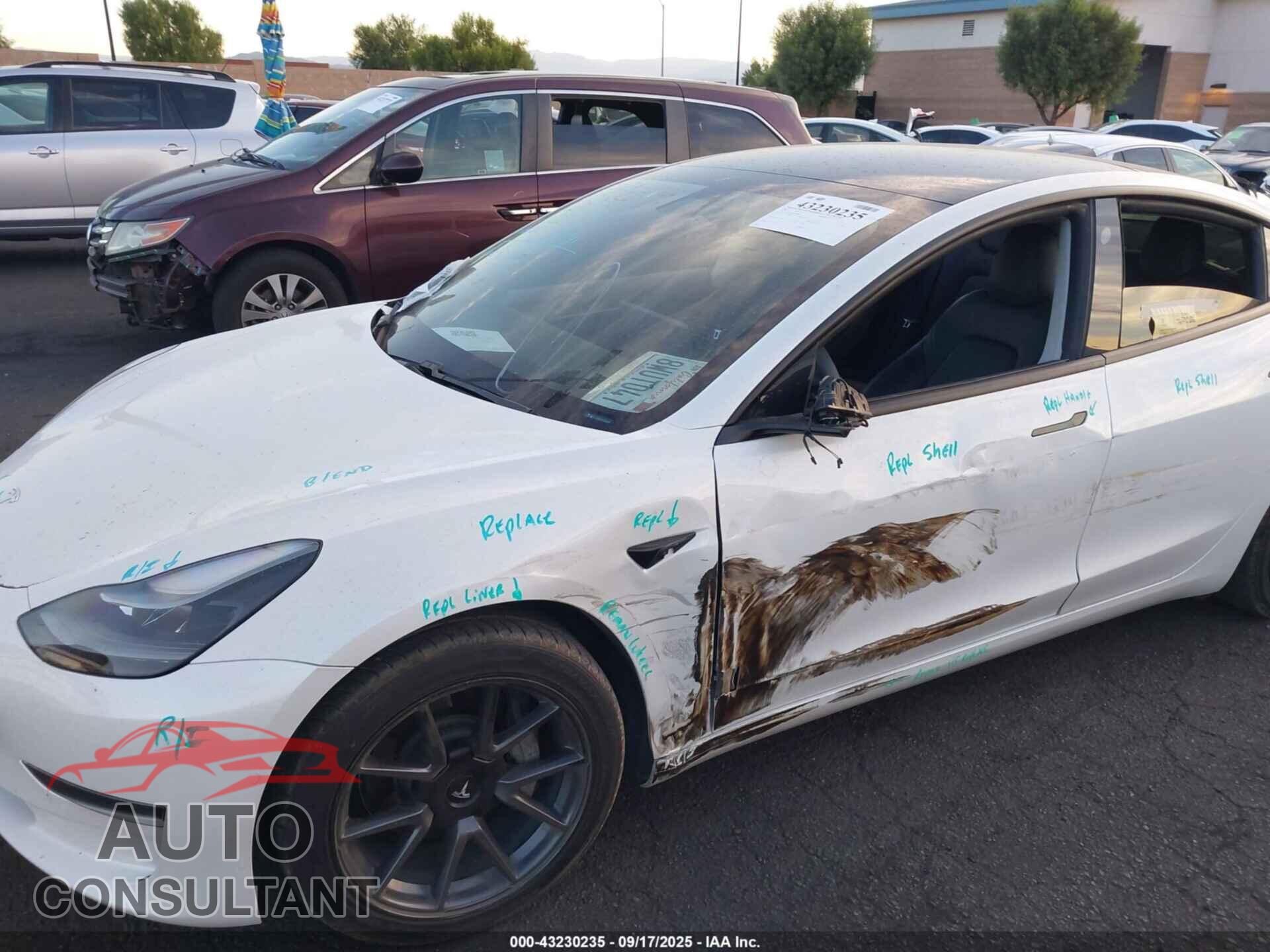 TESLA MODEL 3 2021 - 5YJ3E1EA3MF981891