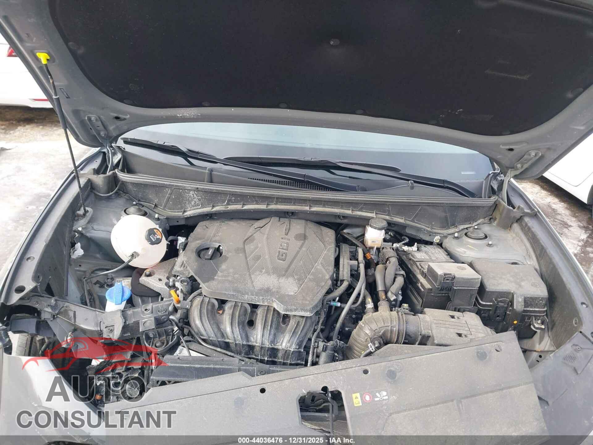 HYUNDAI TUCSON 2024 - 5NMJECDE8RH395491