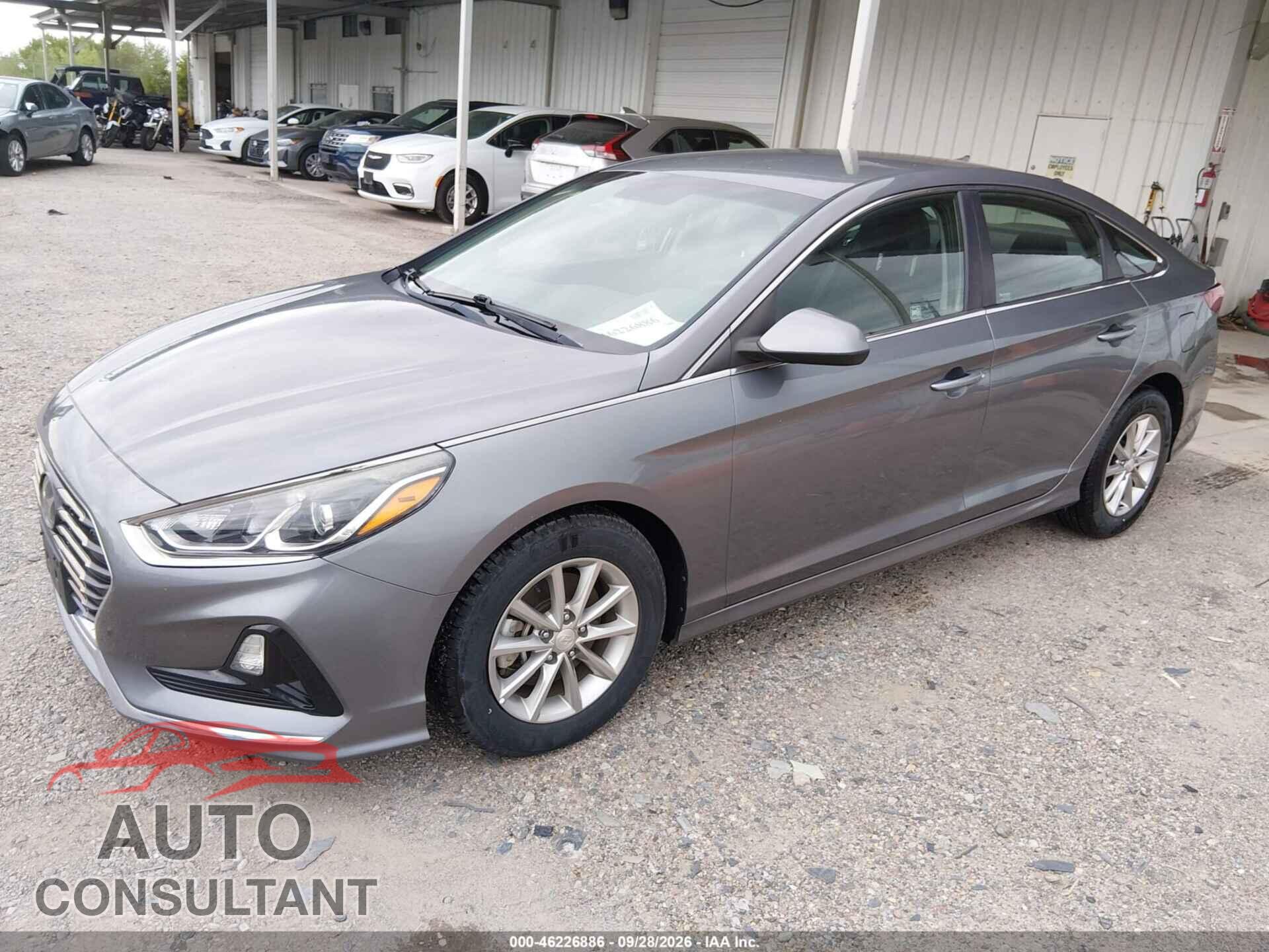 HYUNDAI SONATA 2019 - 5NPE24AA2KH802148