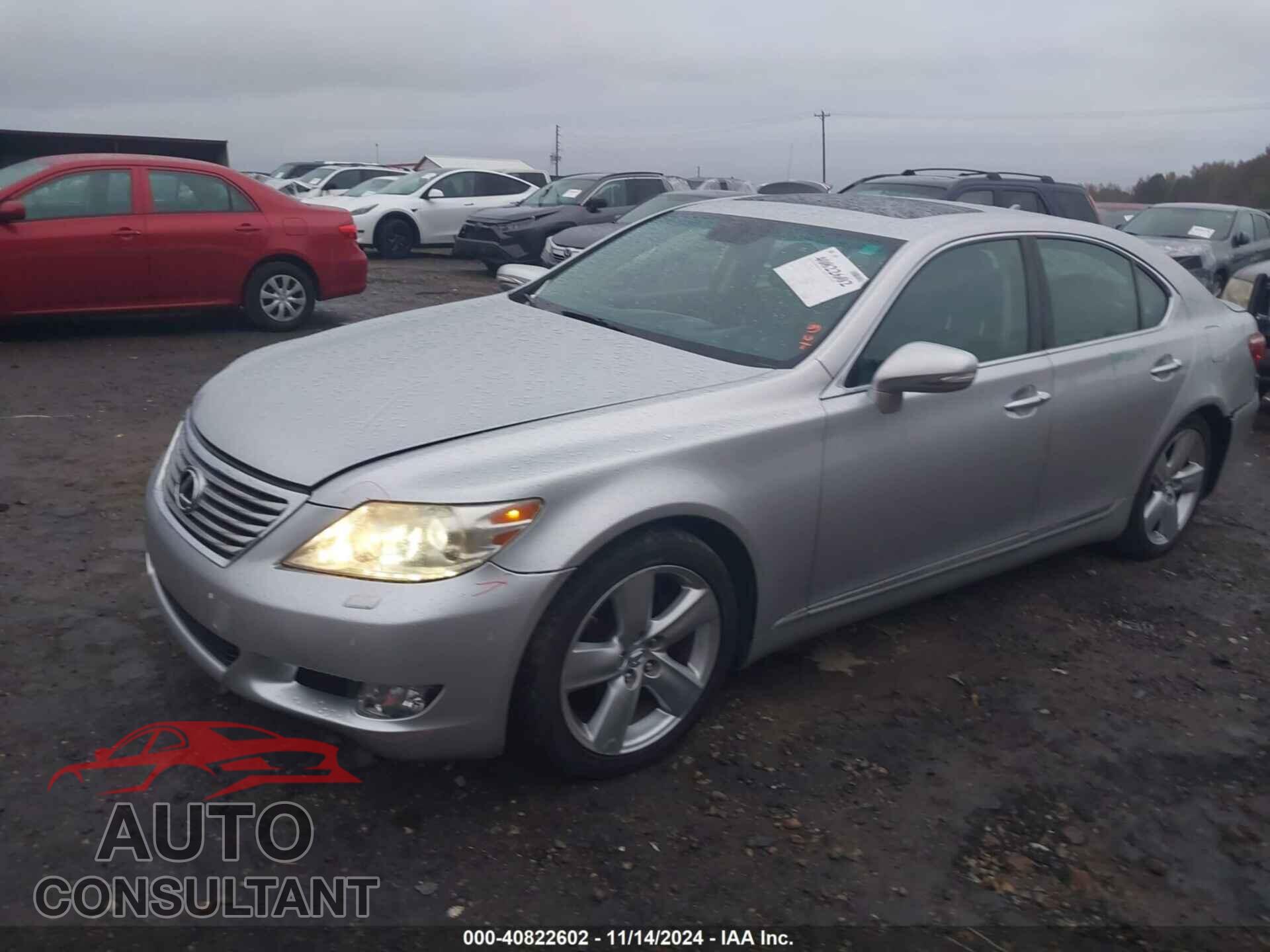 LEXUS LS 460 2010 - JTHBL5EF8A5097283