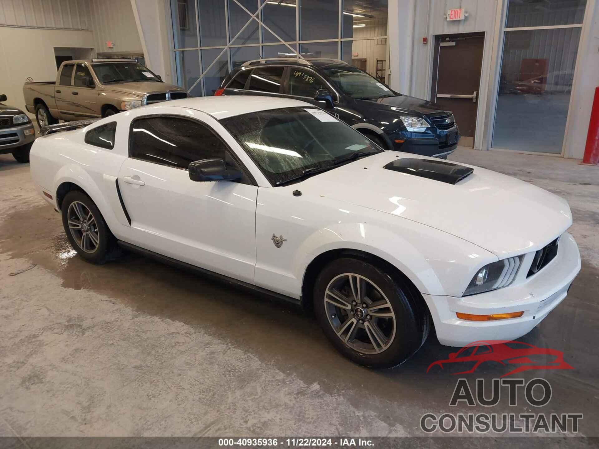 FORD MUSTANG 2009 - 1ZVHT80N095128434