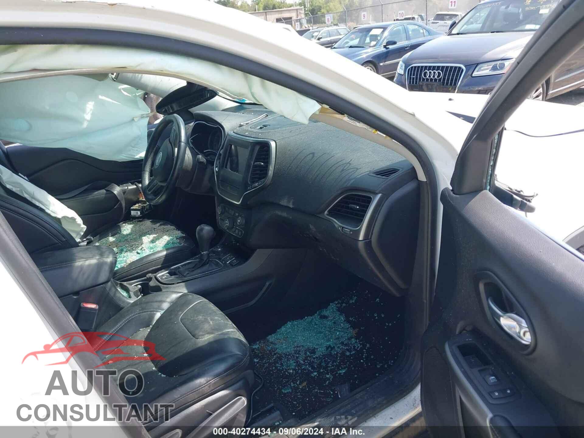 JEEP CHEROKEE 2019 - 1C4PJMLB9KD174791