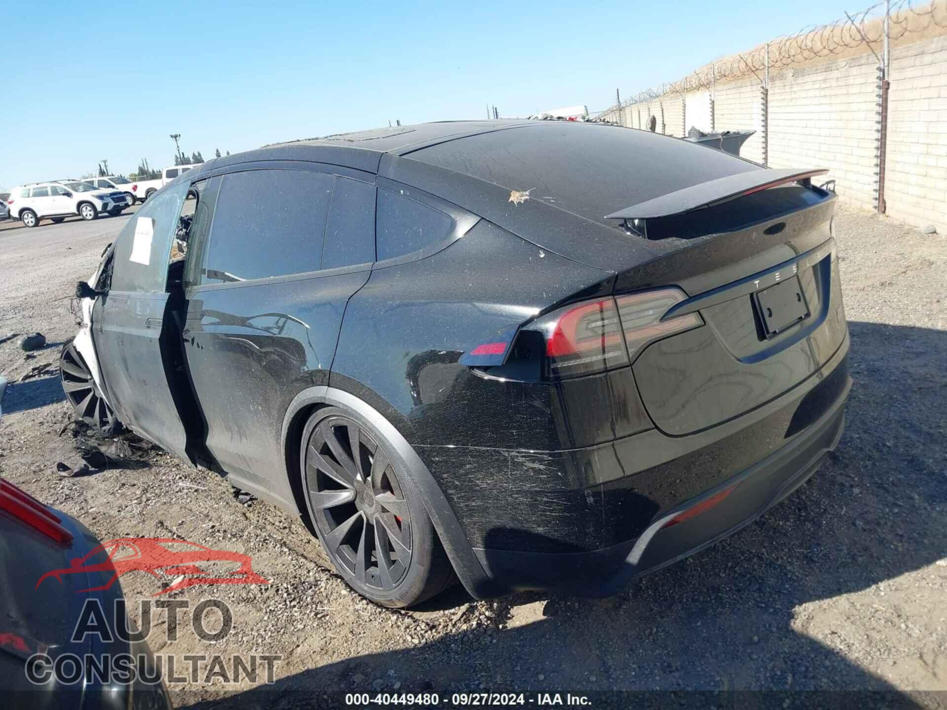 TESLA MODEL X 2024 - 7SAXCBE65RF443499