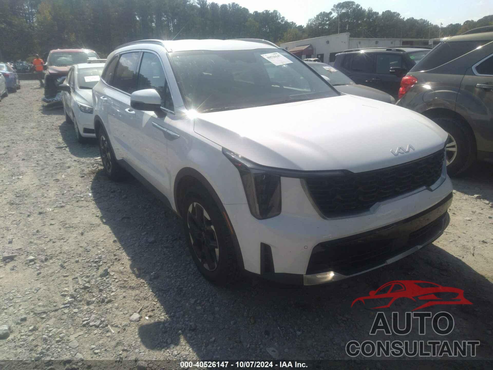 KIA SORENTO 2024 - 5XYRL4JC6RG281162