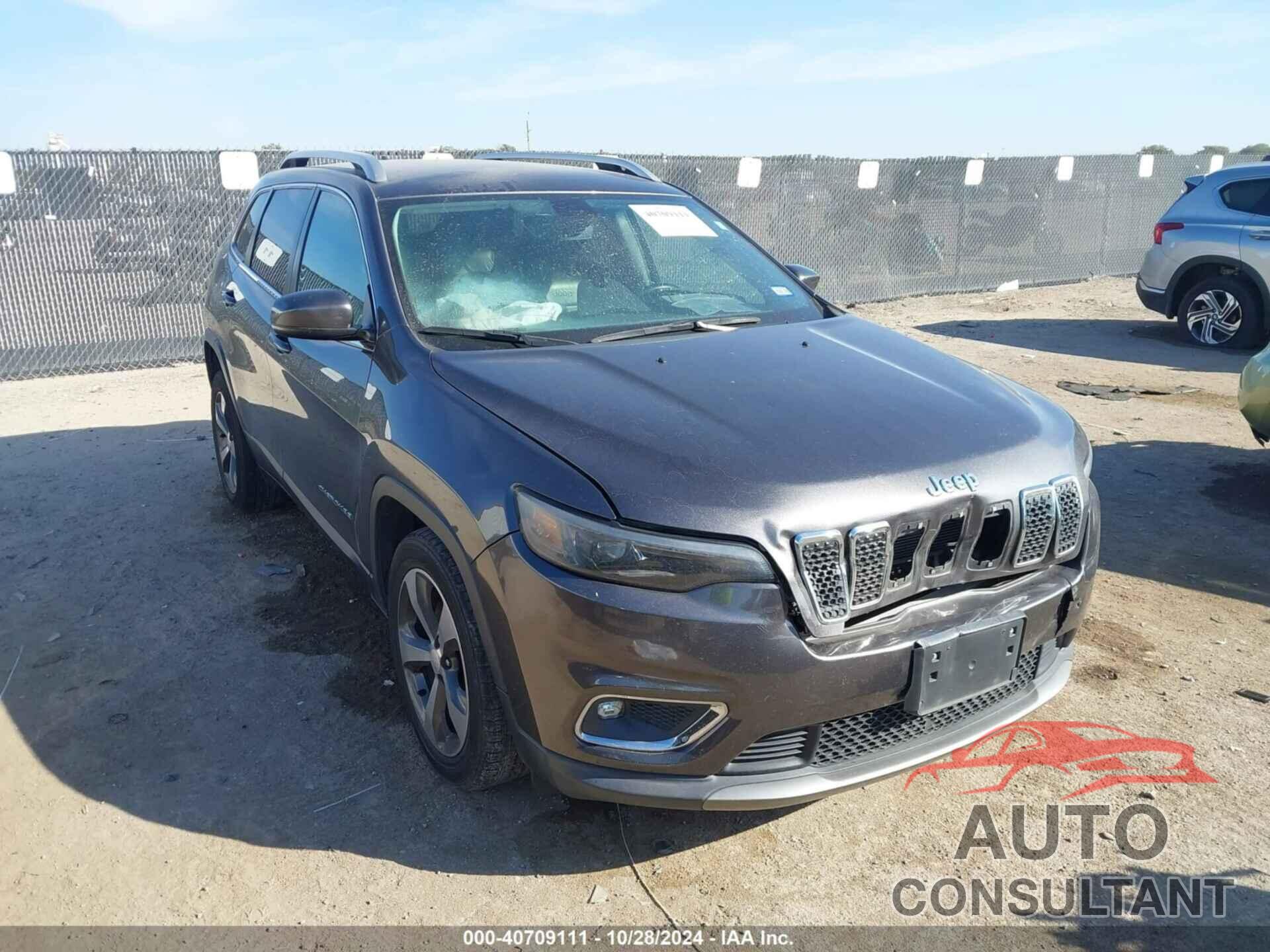 JEEP CHEROKEE 2019 - 1C4PJLDB2KD333417