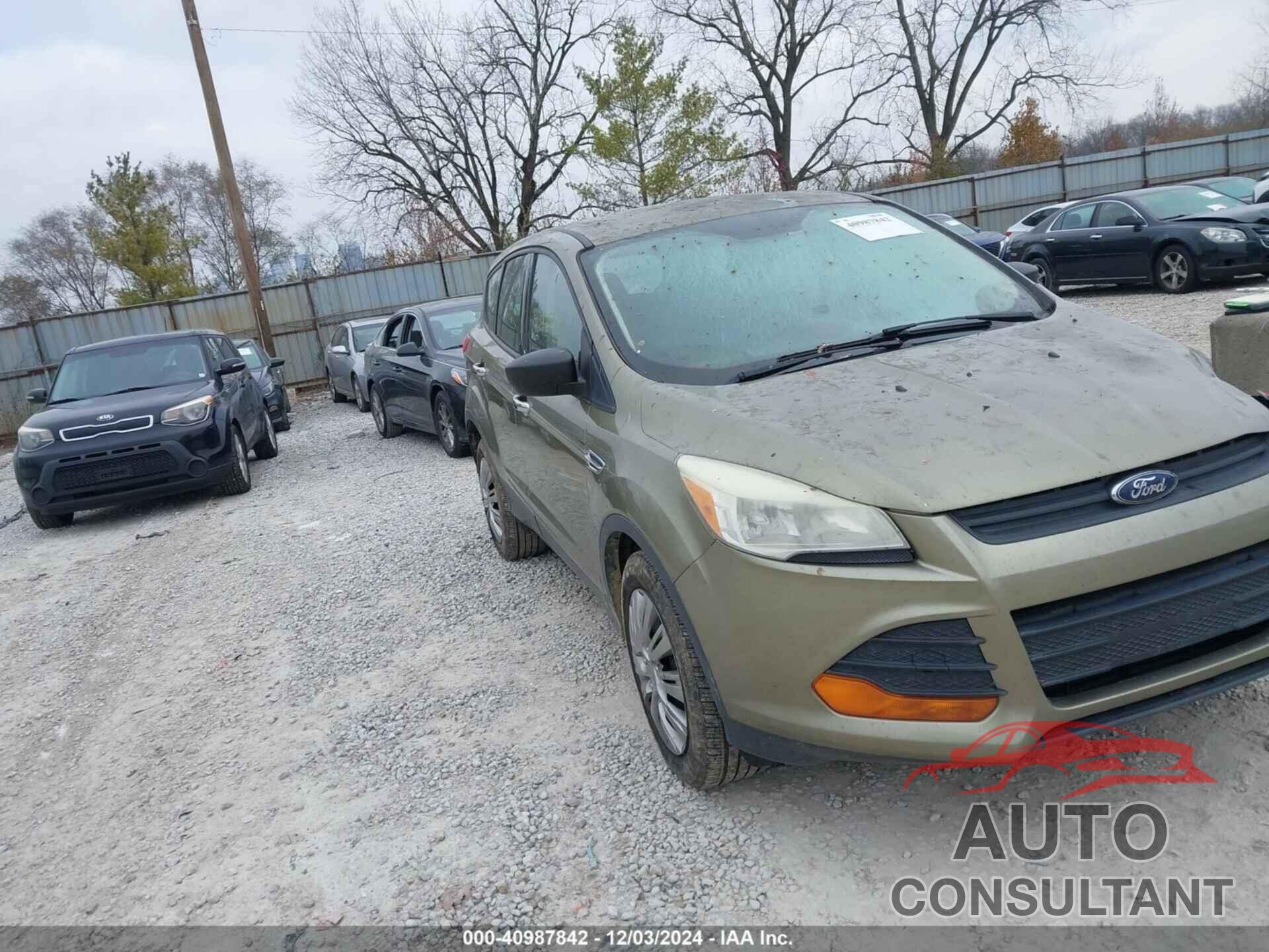 FORD ESCAPE 2014 - 1FMCU0F77EUB56165