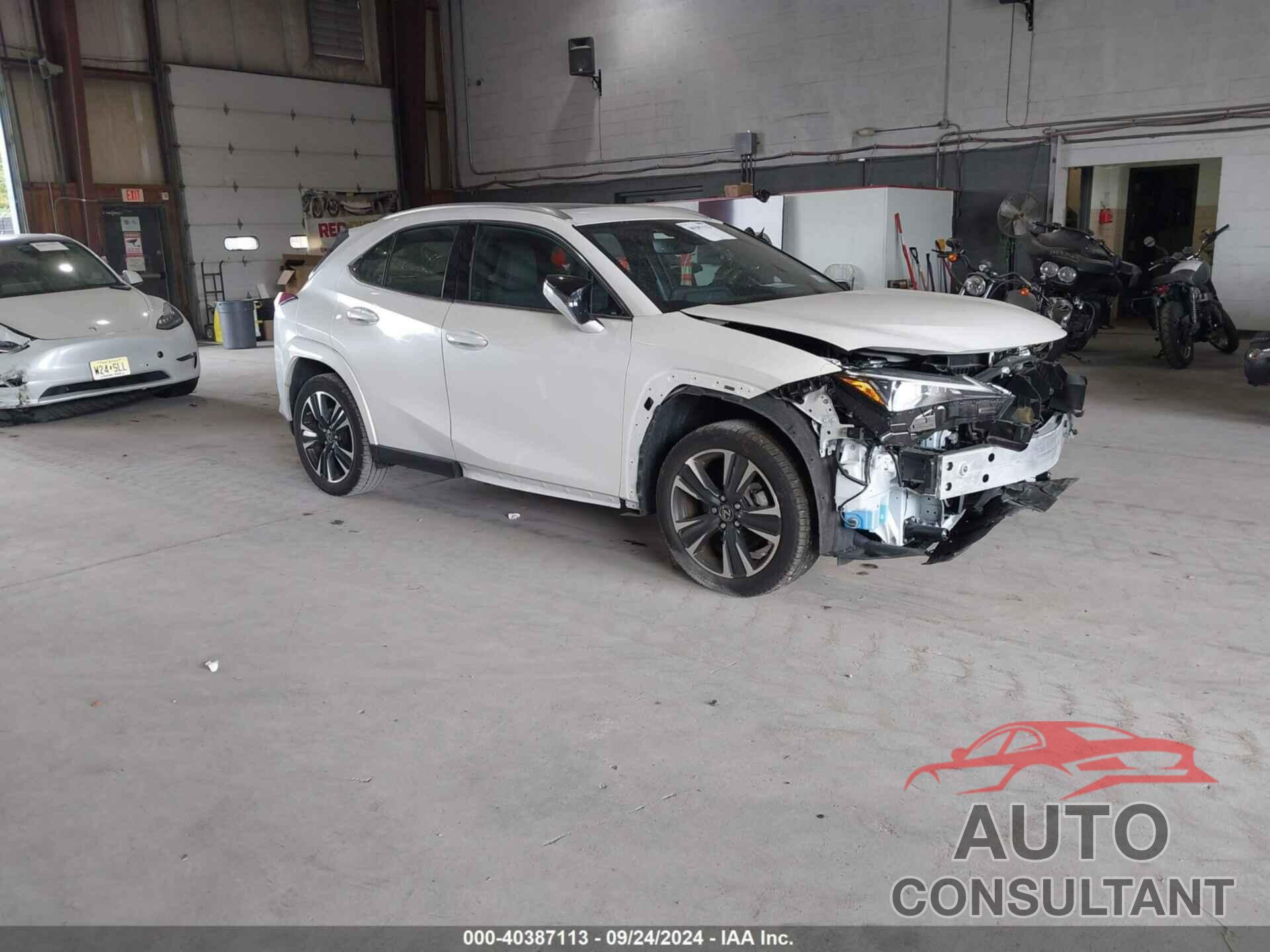 LEXUS UX 250H 2024 - JTHP9JBH7R2071435