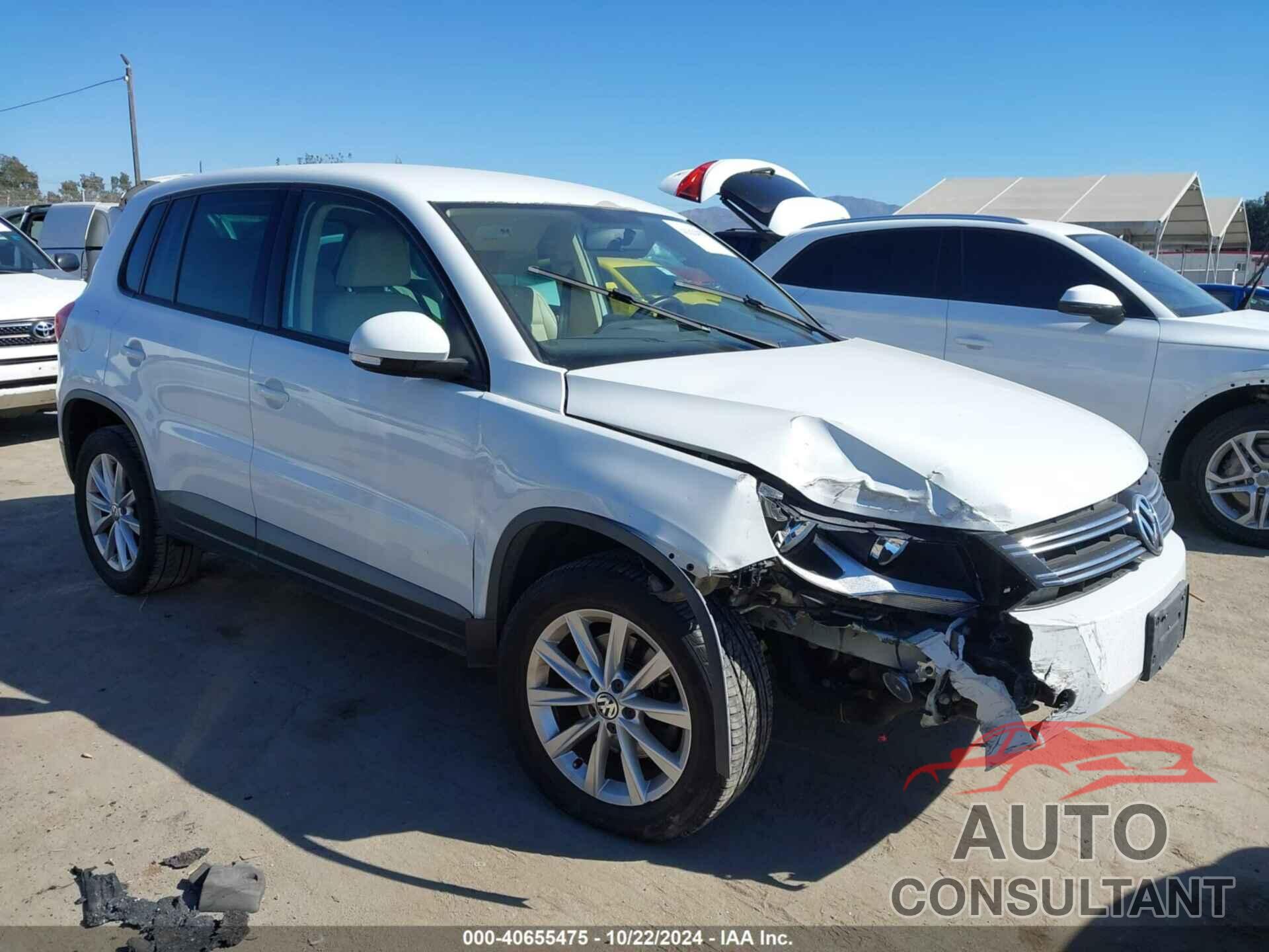 VOLKSWAGEN TIGUAN 2014 - WVGAV3AX5EW554511