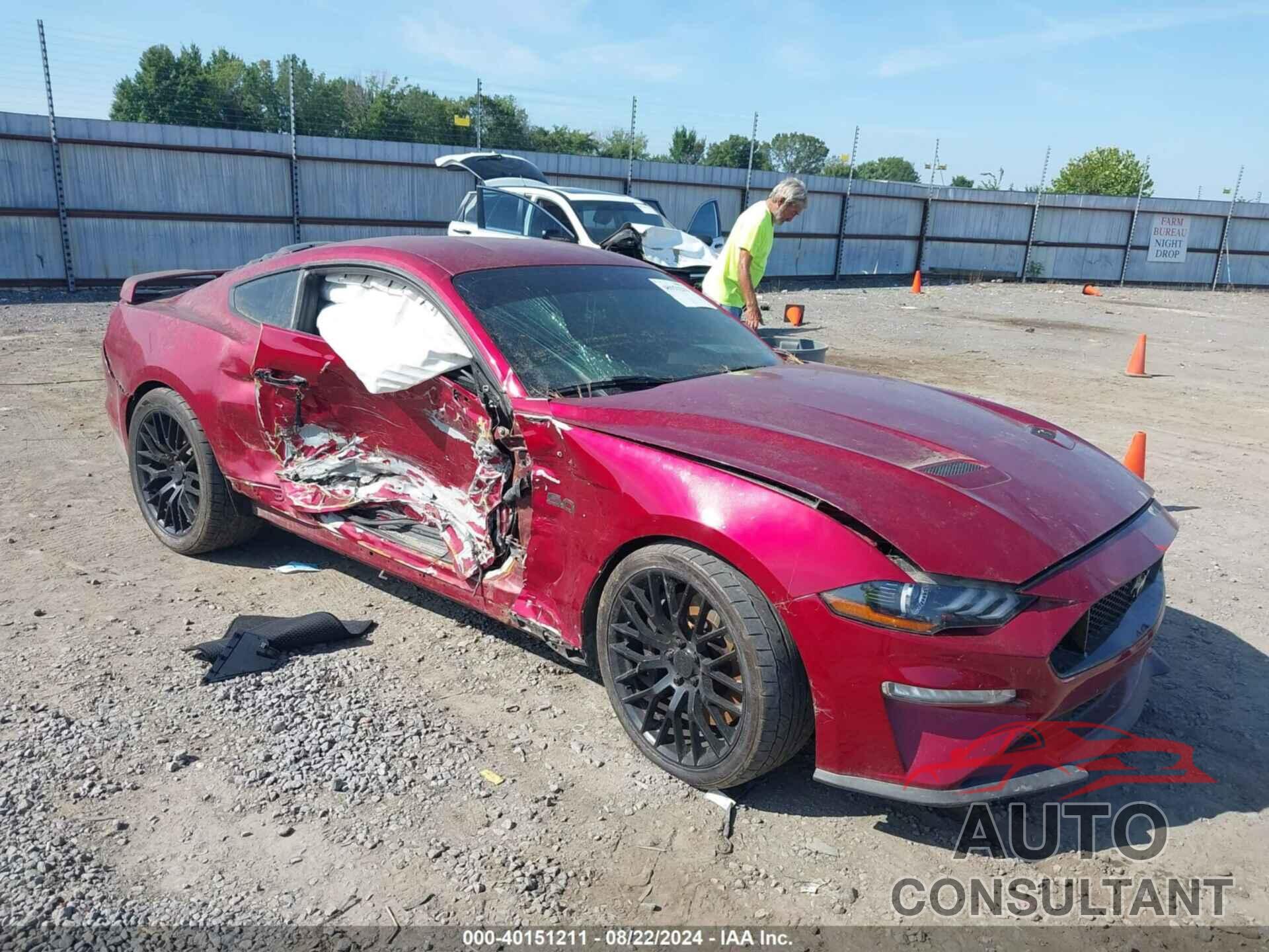 FORD MUSTANG 2019 - 1FA6P8CF8K5157162