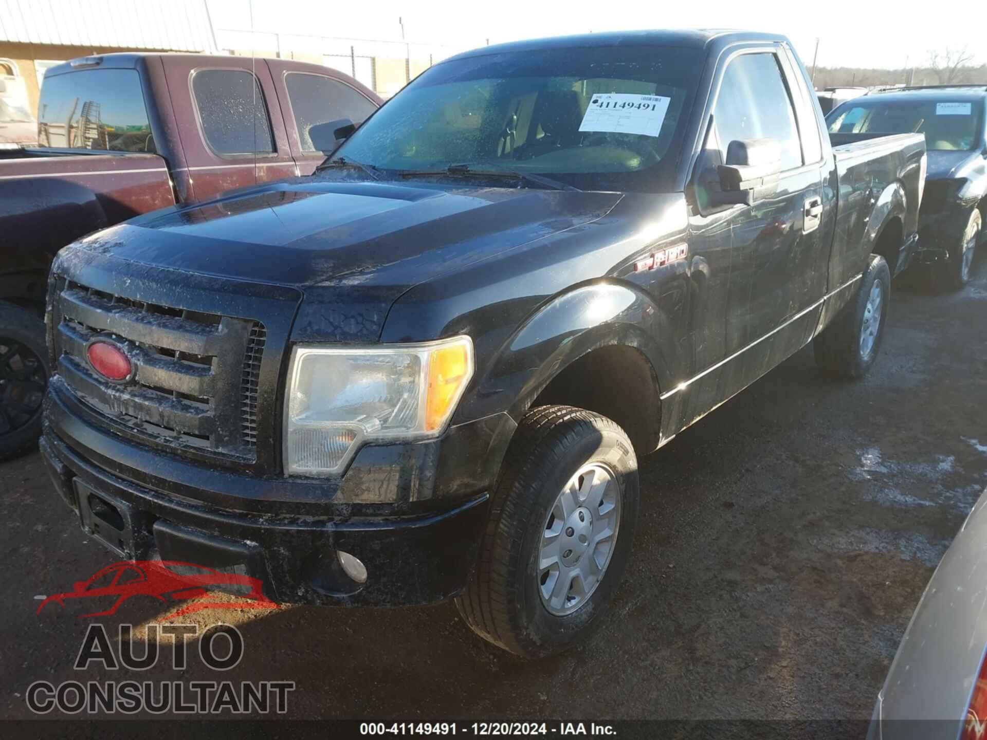 FORD F-150 2009 - 1FTRF12WX9KB06552
