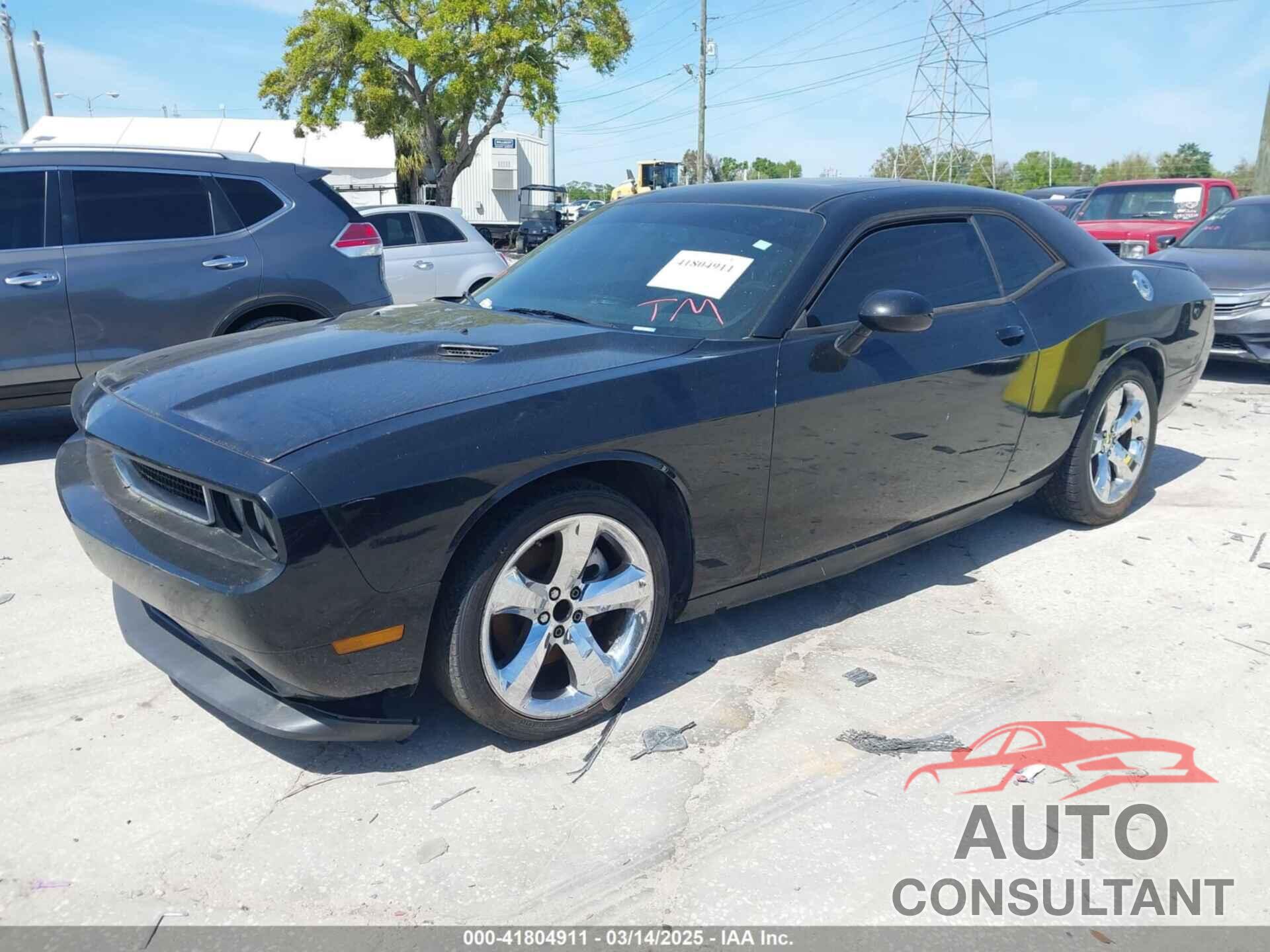 DODGE CHALLENGER 2013 - 2C3CDYAG3DH562072