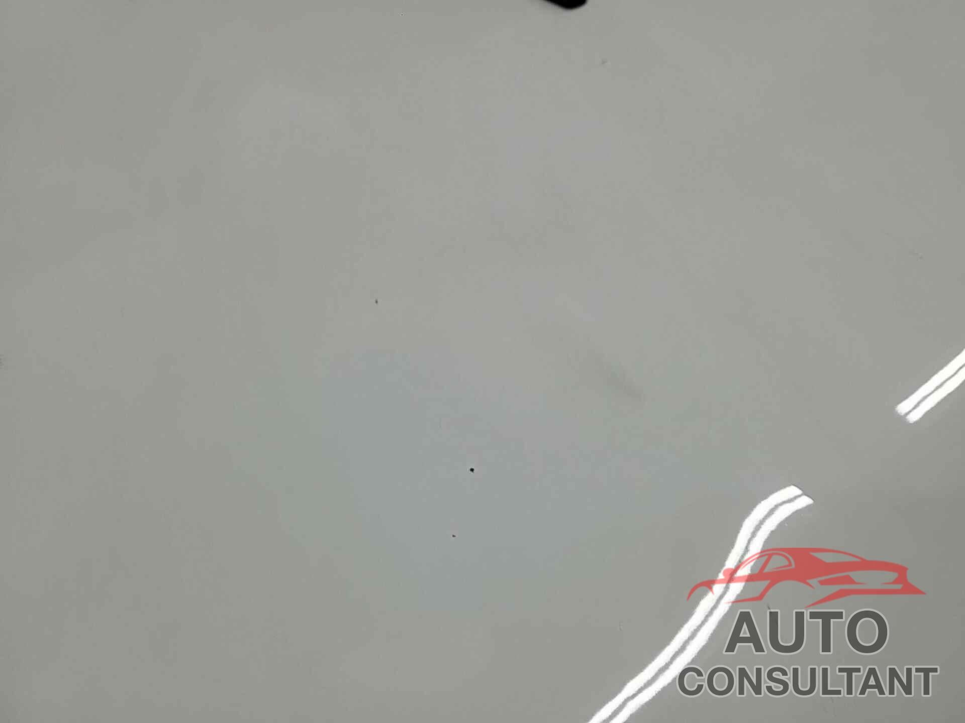 JEEP CHEROKEE 2022 - 1C4PJMMX2ND505905