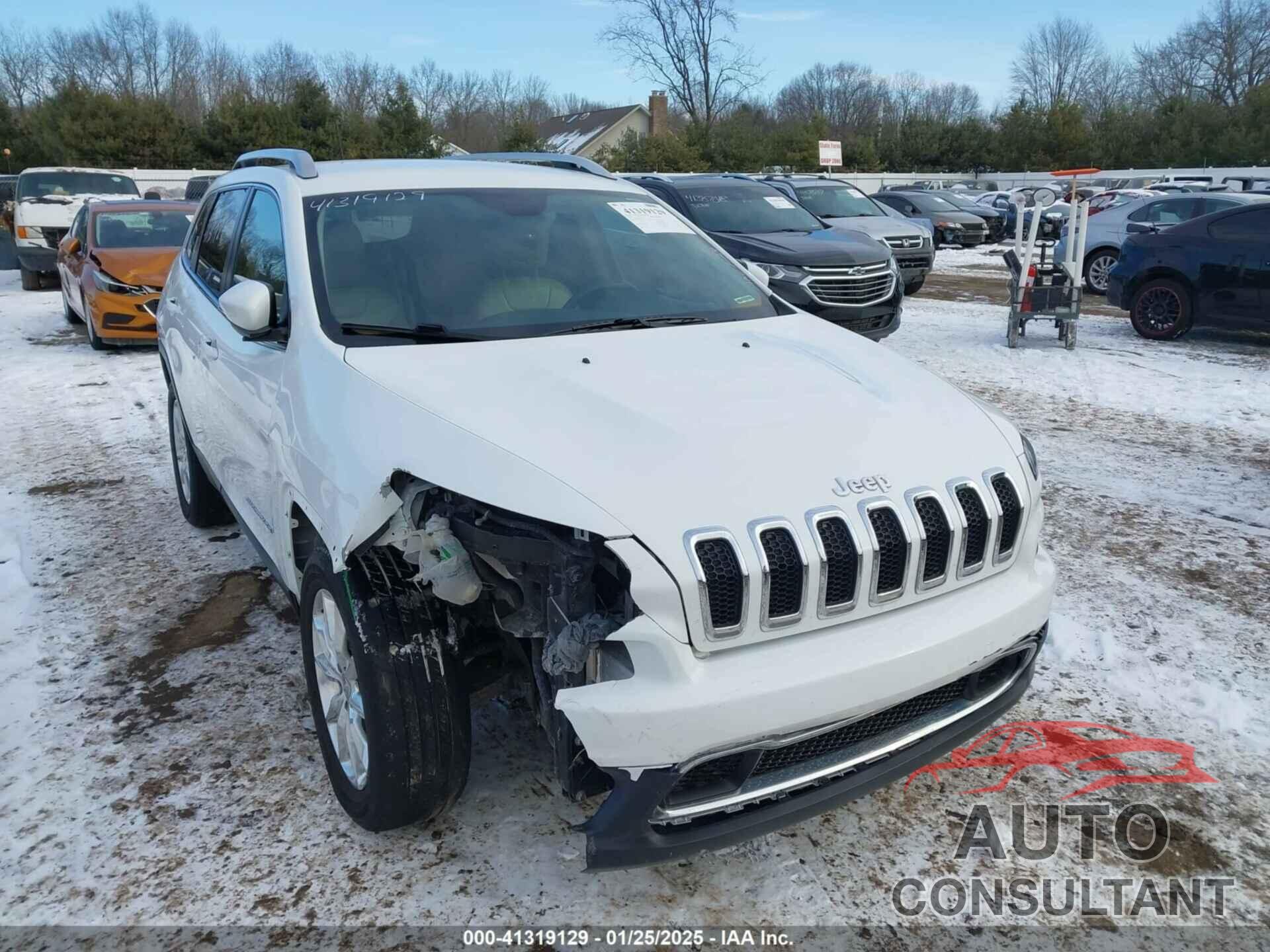 JEEP CHEROKEE 2016 - 1C4PJMDB1GW205722
