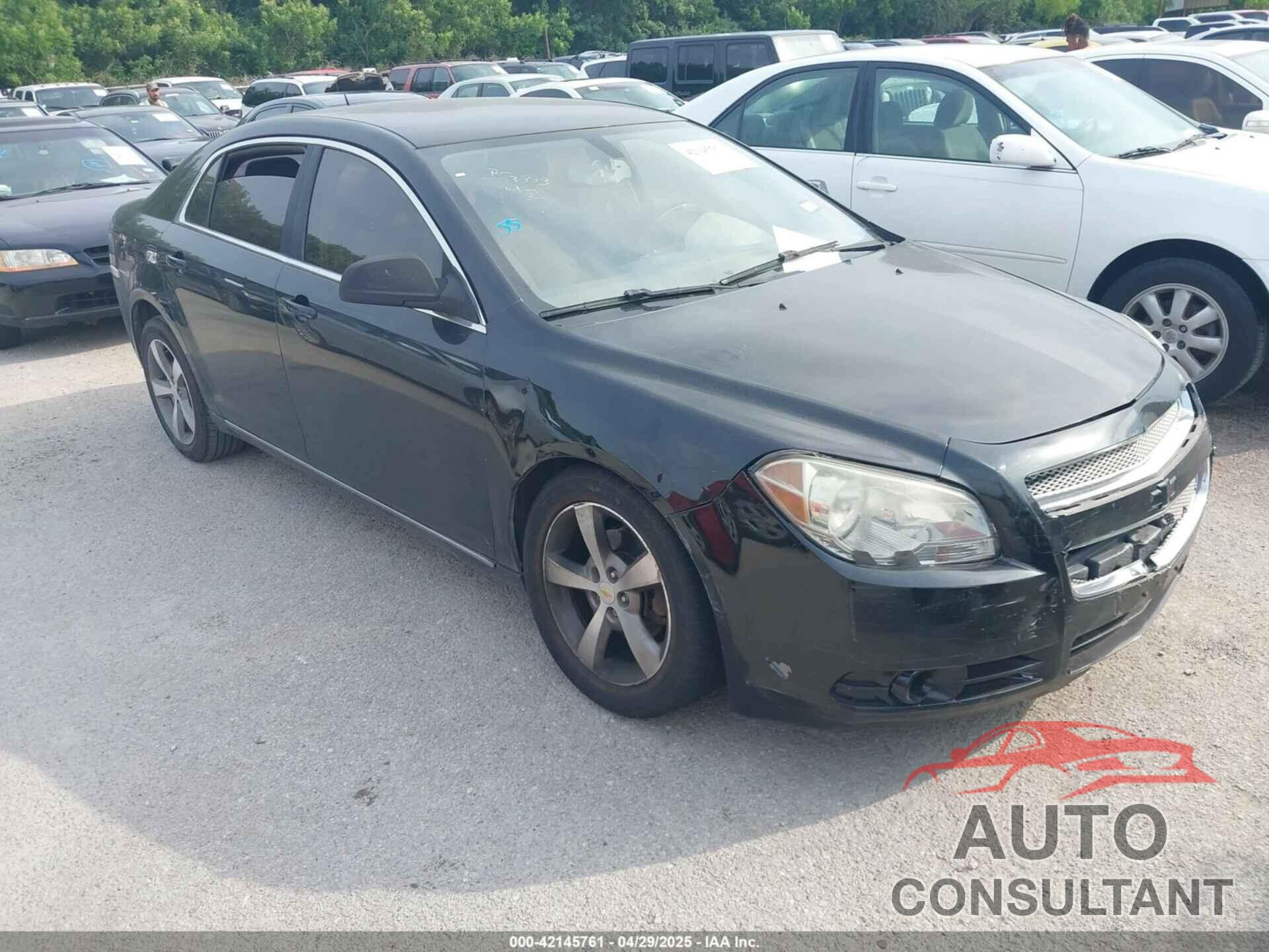CHEVROLET MALIBU 2011 - 1G1ZC5E15BF173969